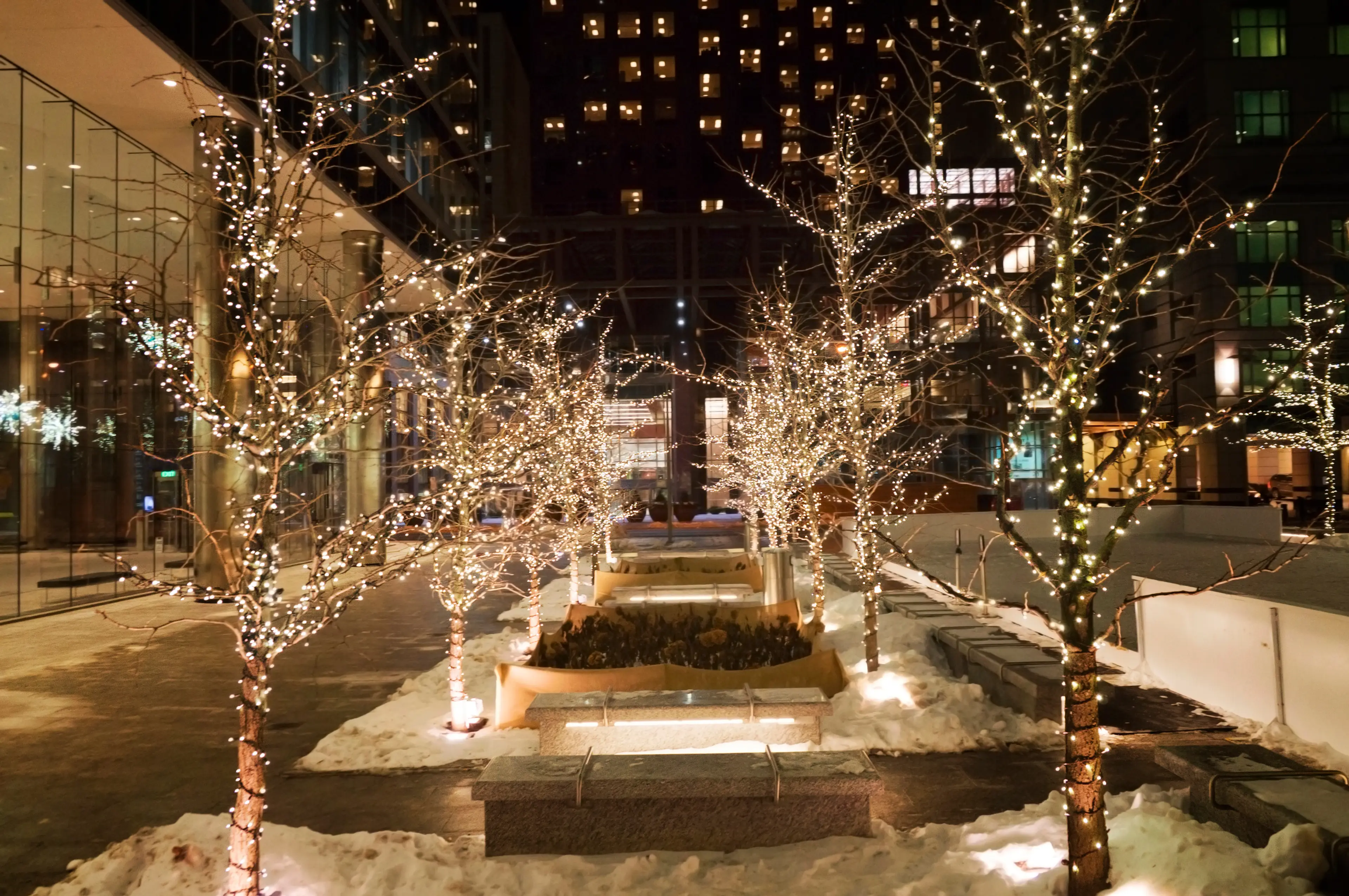 5-Day Christmas Holiday Experience in Toronto, Ontario