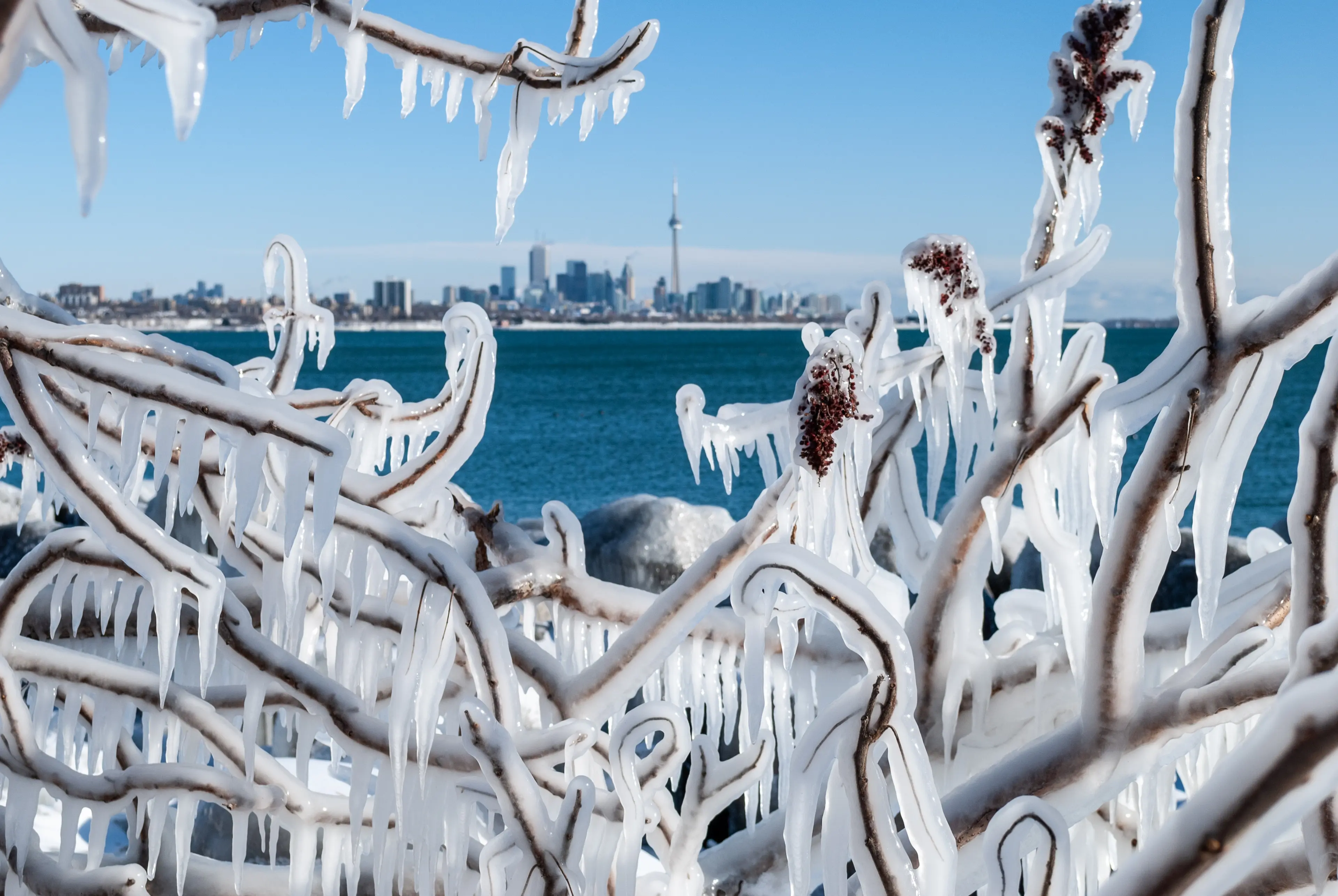 Toronto skyline