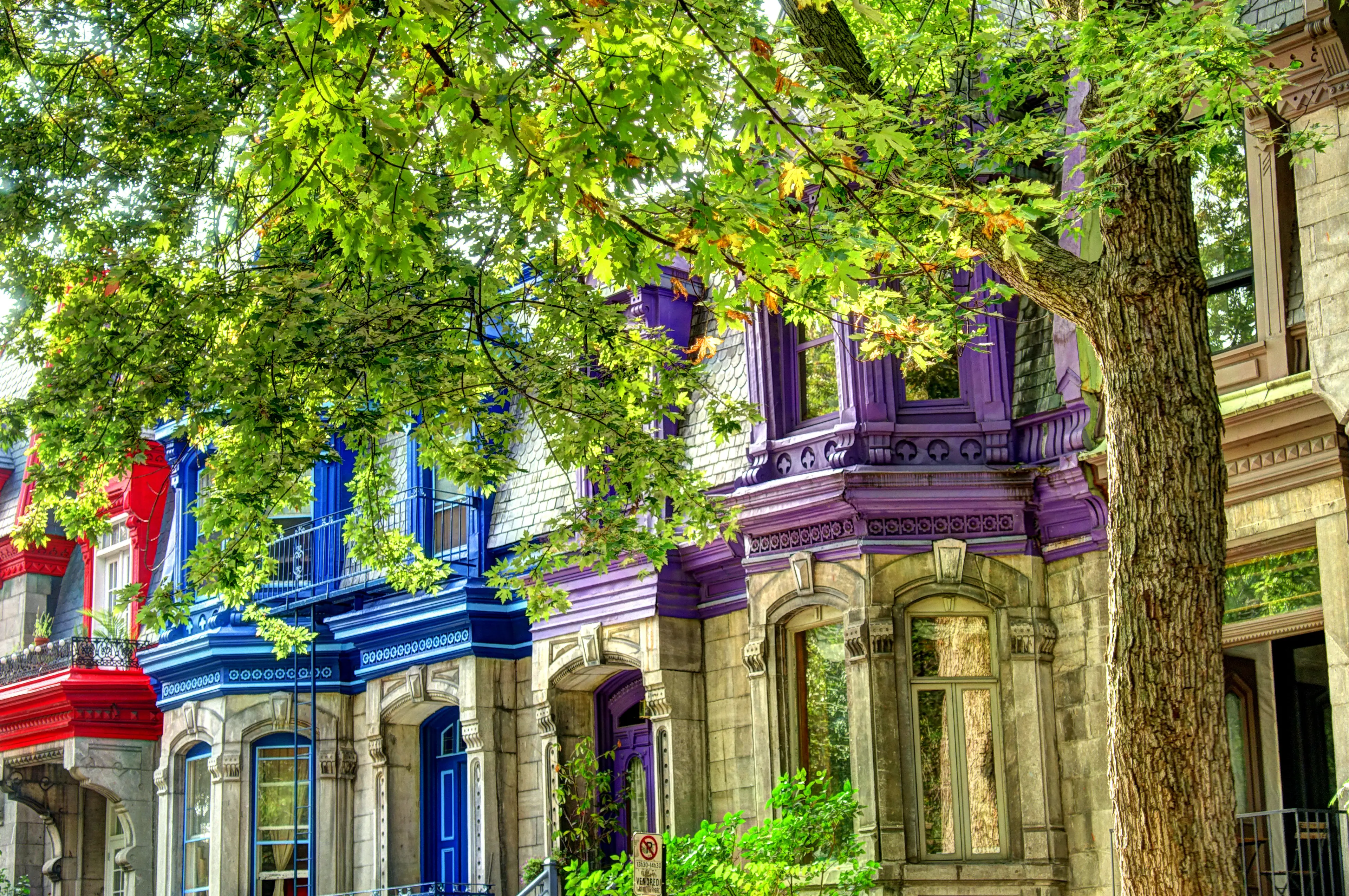 Colorful houses