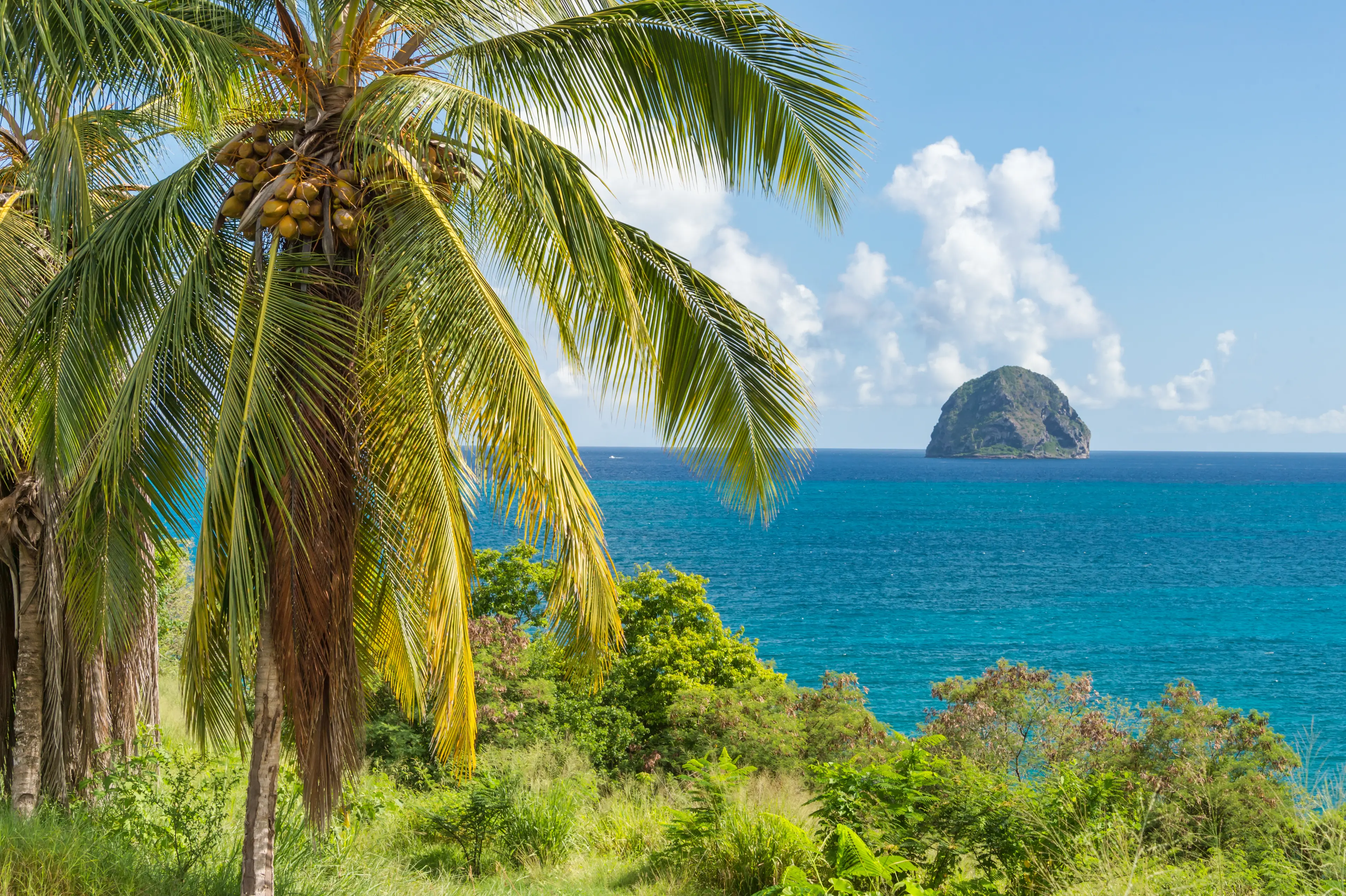 4-Day Solo Adventure and Sightseeing in Martinique, Caribbean