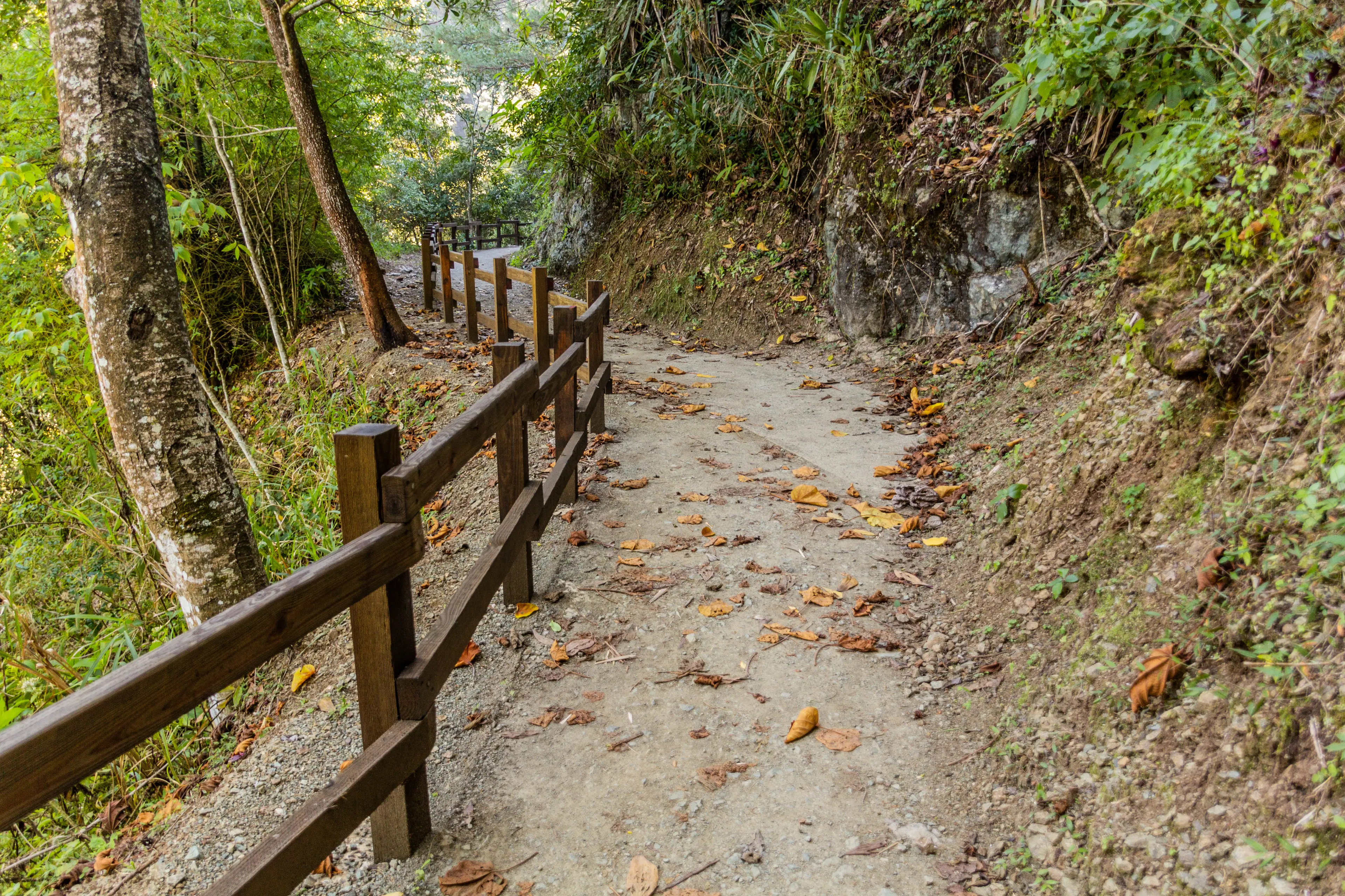 Path to Salto de Baiguate waterfall