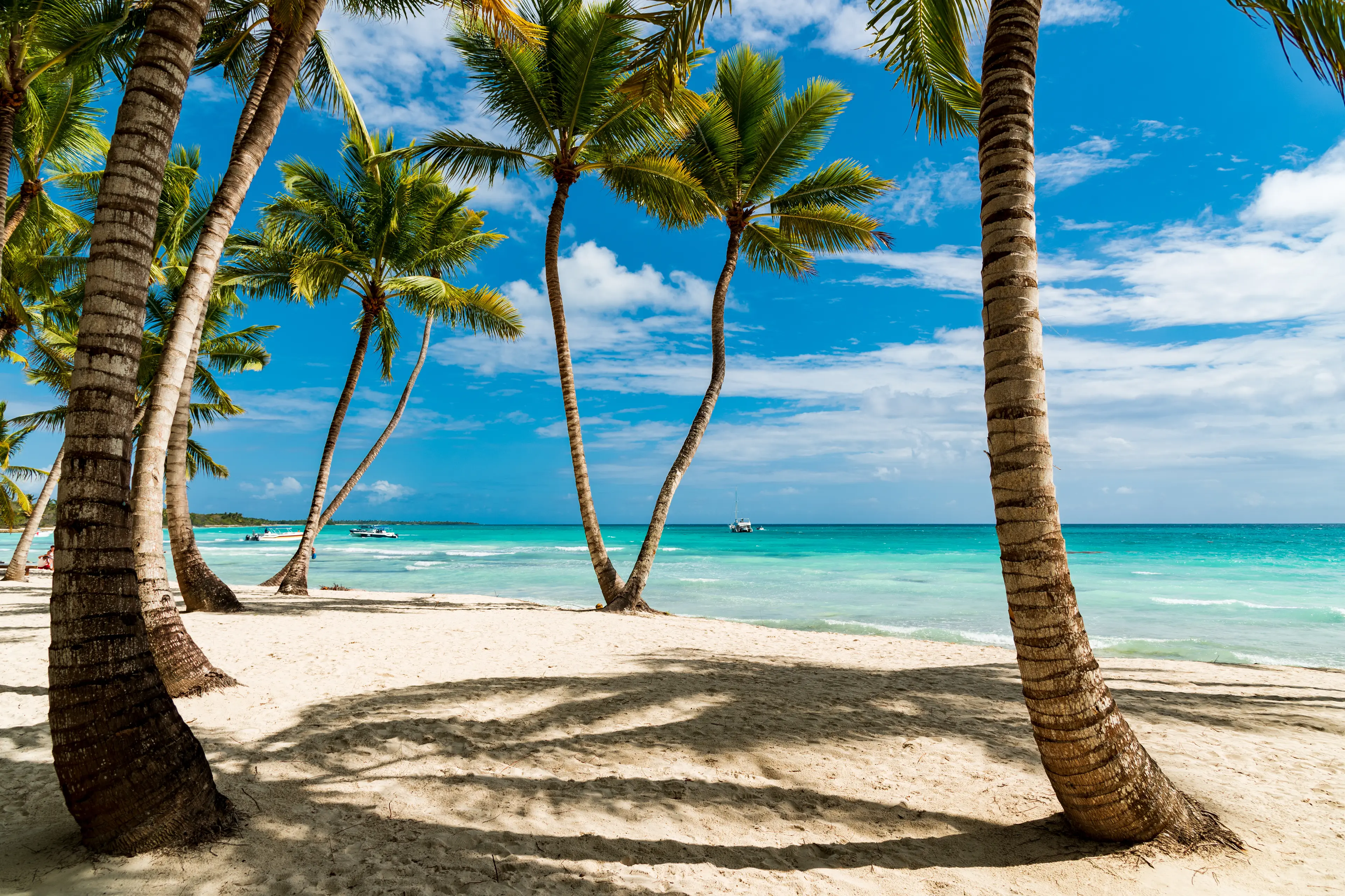 Tropical beach on Saona island Tropical beach on Saona island