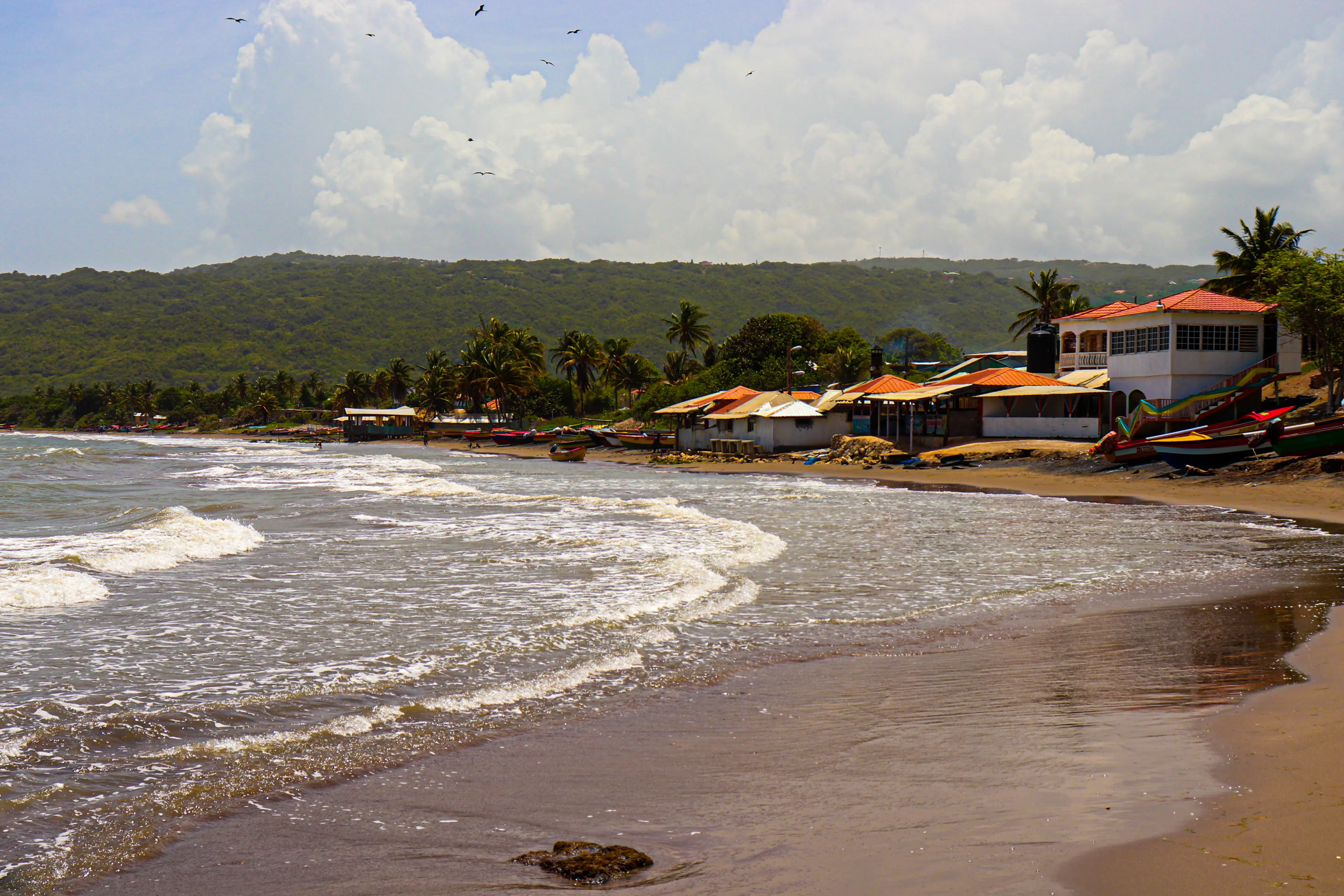 Beachfront houses of Alligator Pond