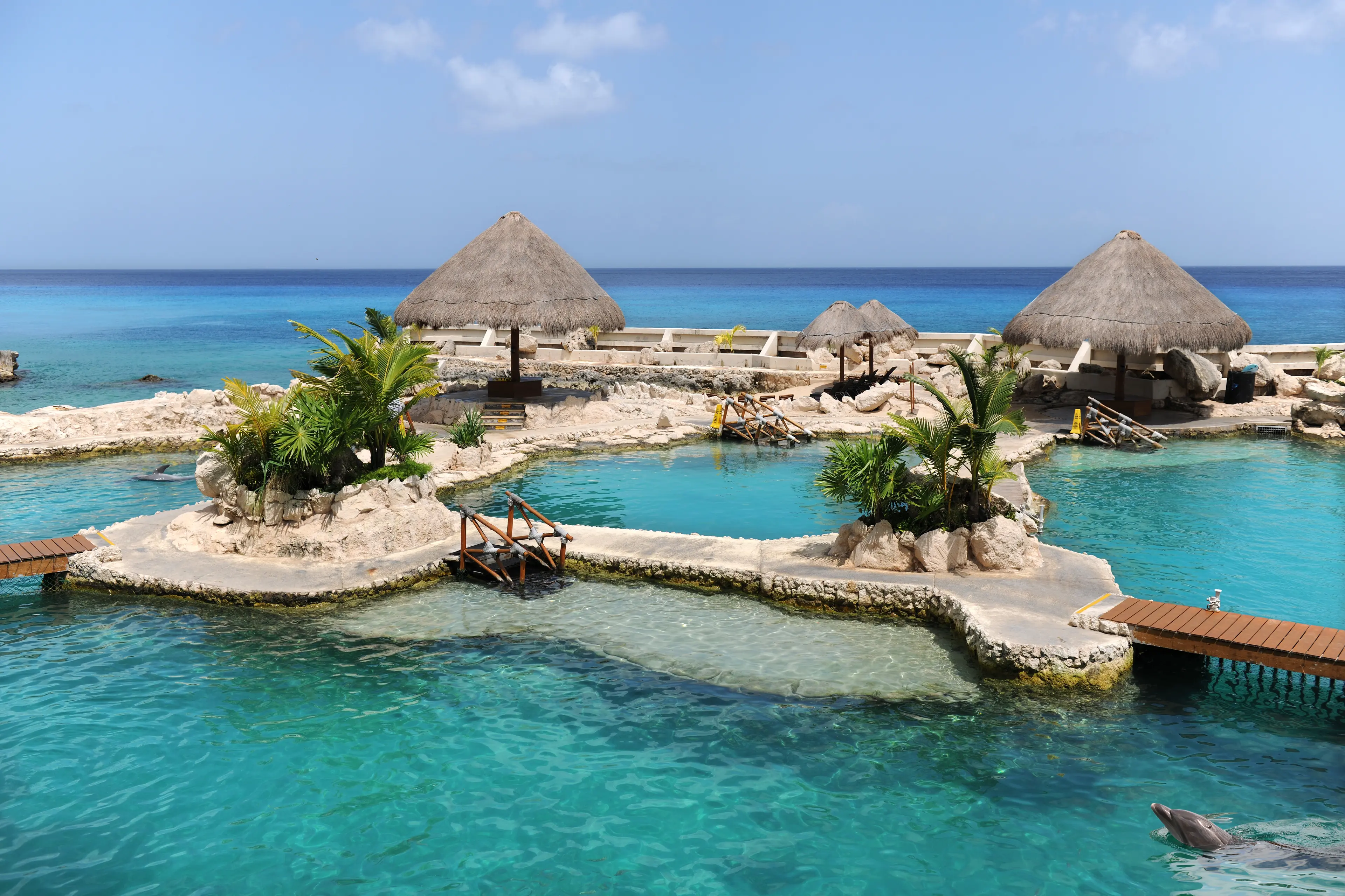 1-Day Solo Local Experience with Outdoor Sightseeing in Cozumel
