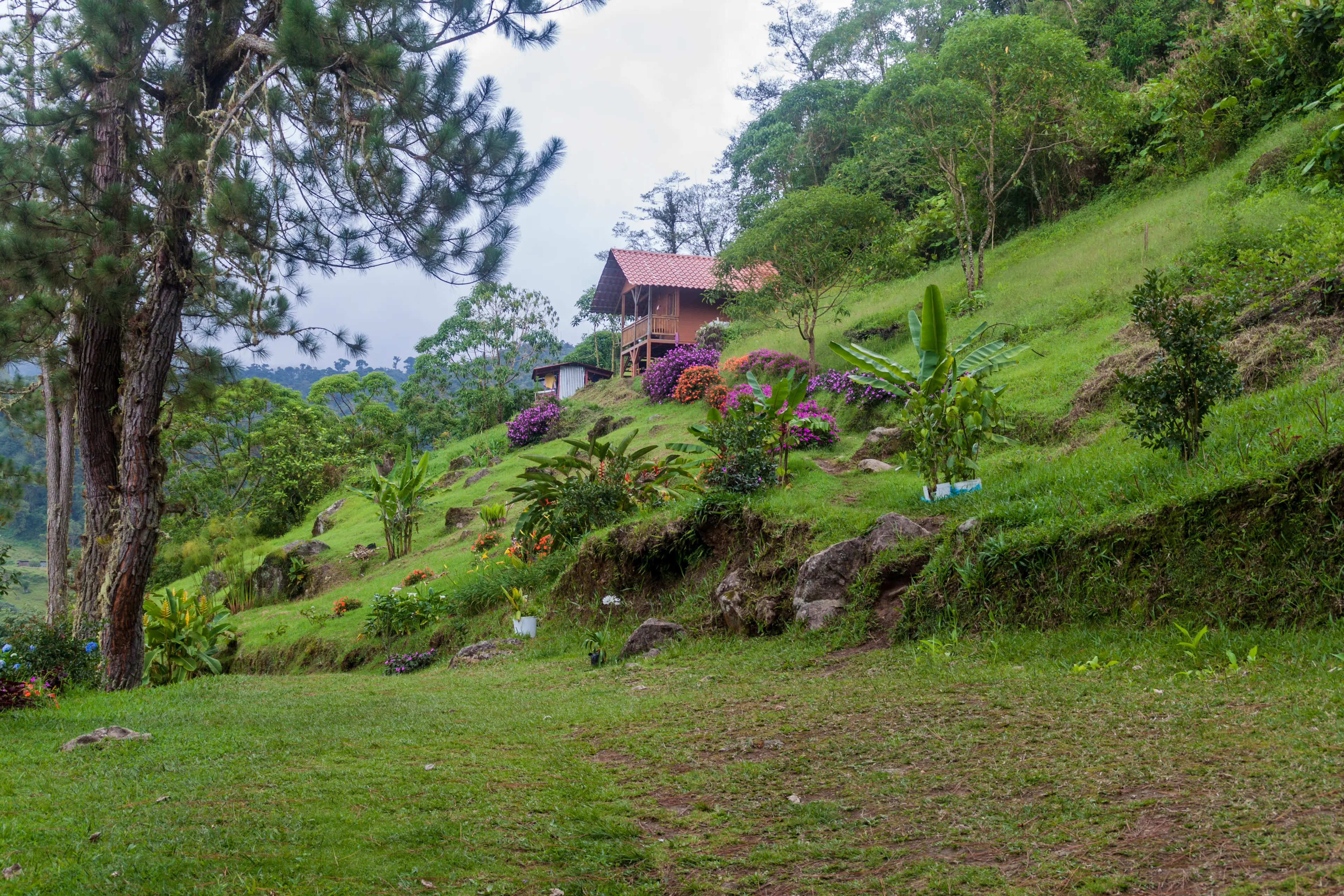 Alpine style house near Boquete Alpine style house near Boquete
