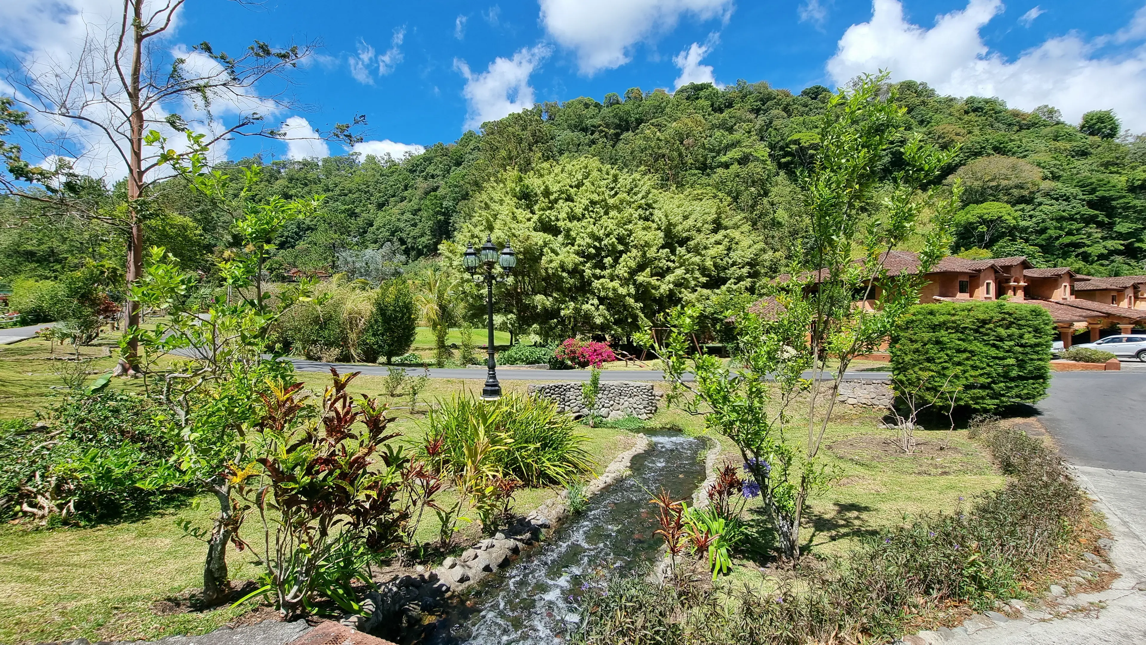Gardens and wooded hills in town Gardens and wooded hills in town