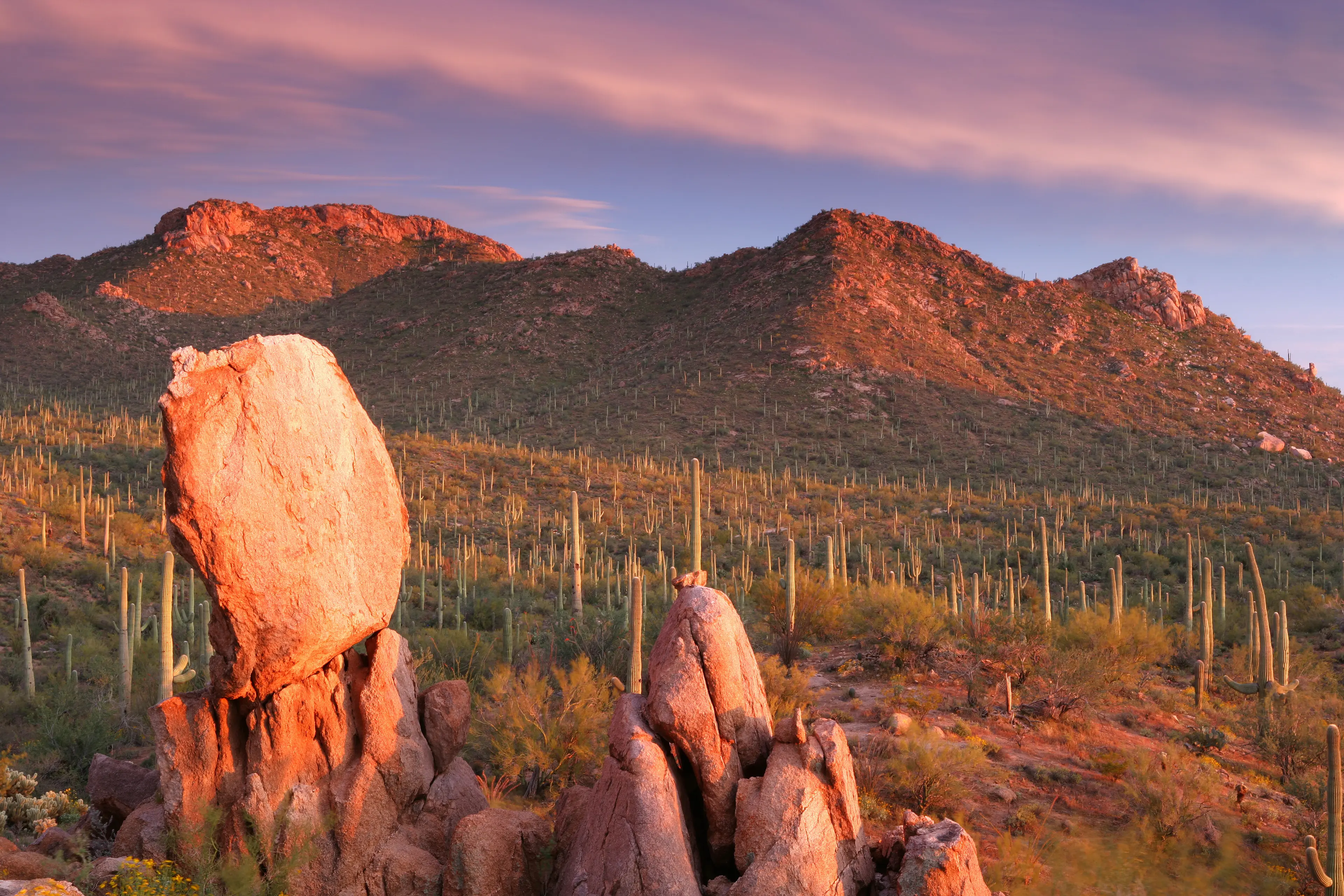 3-Day Solo Trip to Tucson: Outdoor Adventures & Sightseeing