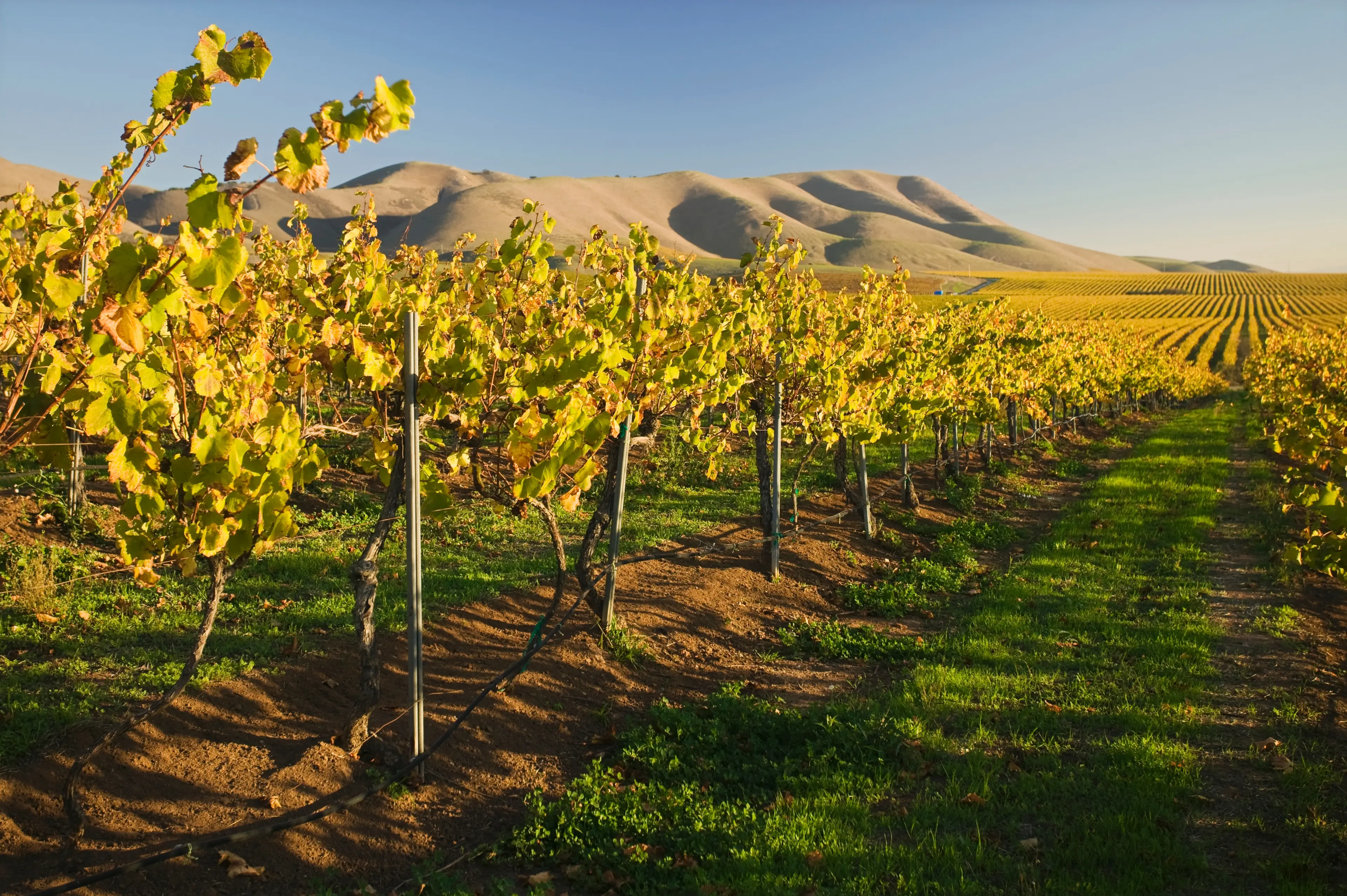 Day Out in California: Locals' Guide to Food, Wine & Sightseeing