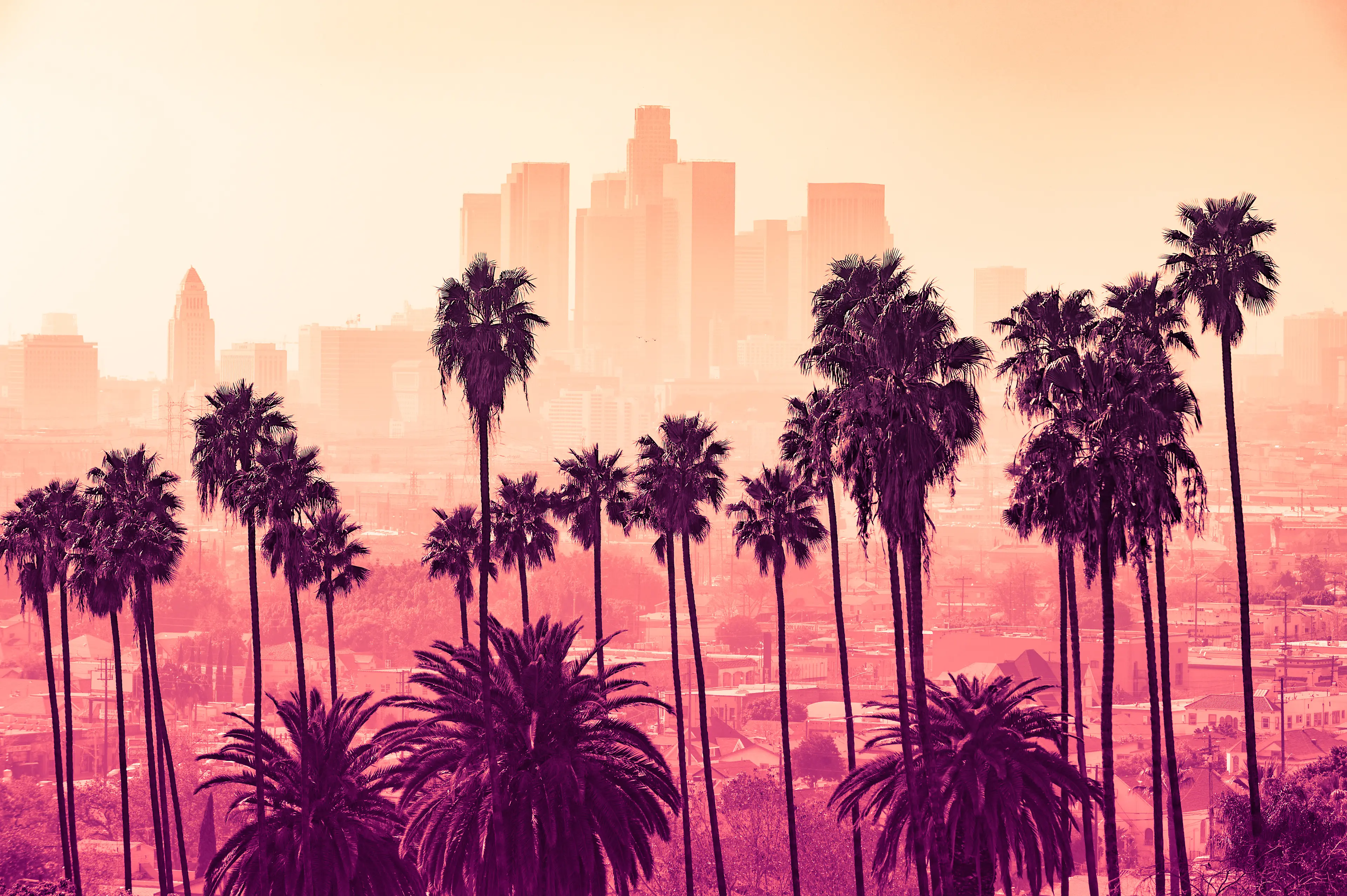 2-Day LA Adventure: Outdoor Excitement & Vibrant Nightlife with Friends