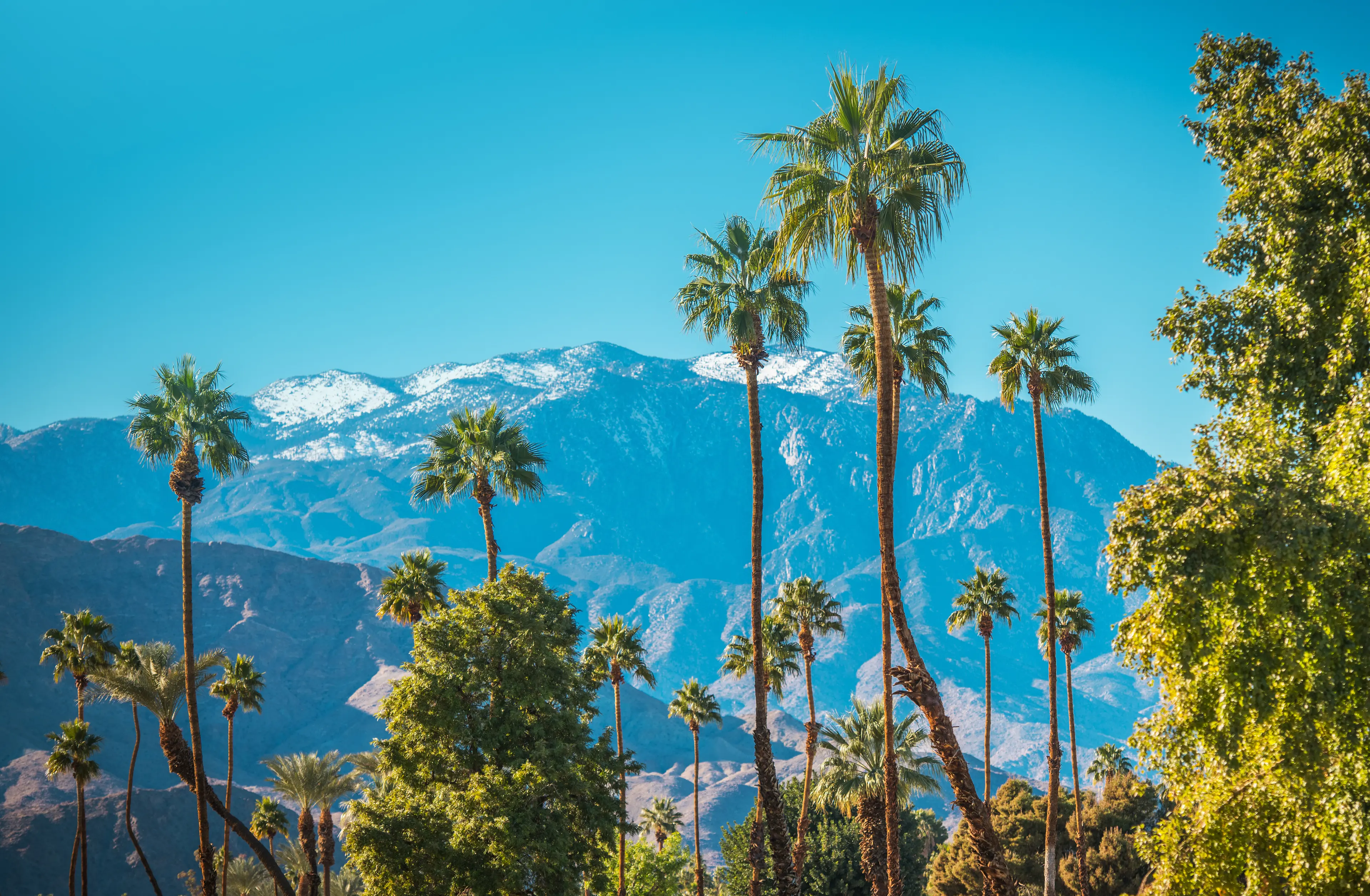 3-Day Adventure: Exploring Palm Springs' Unexplored Outdoors