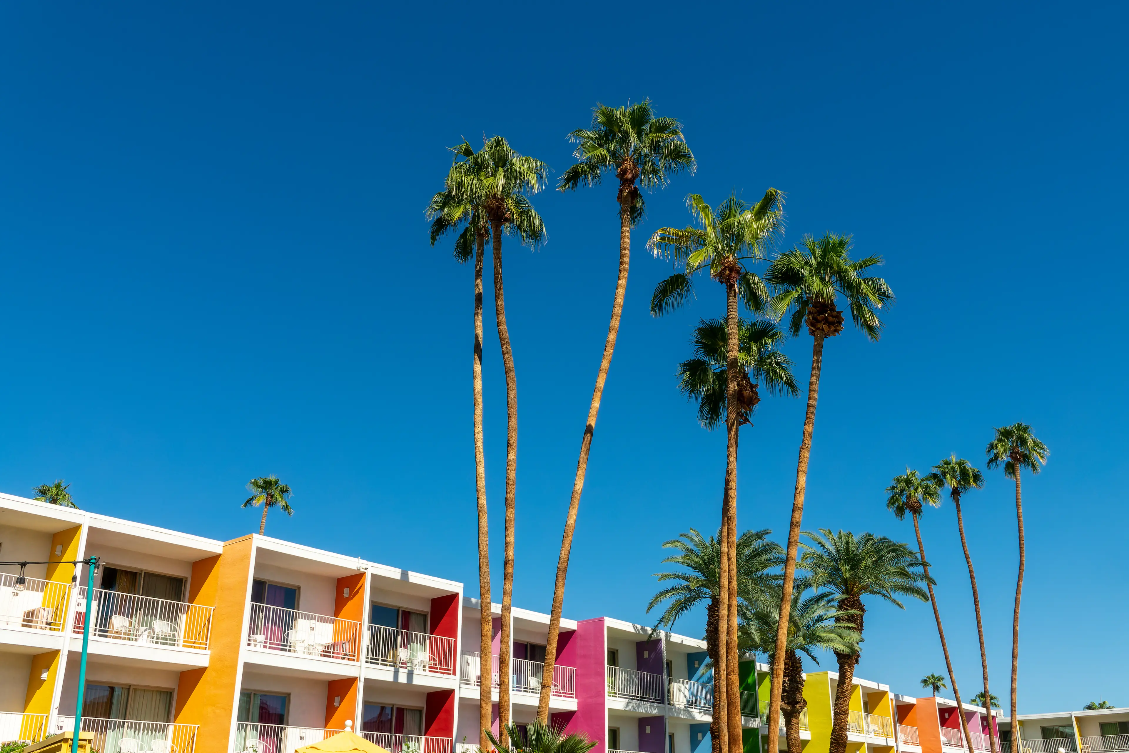 5-Day Solo Culinary and Nightlife Adventure in Palm Springs