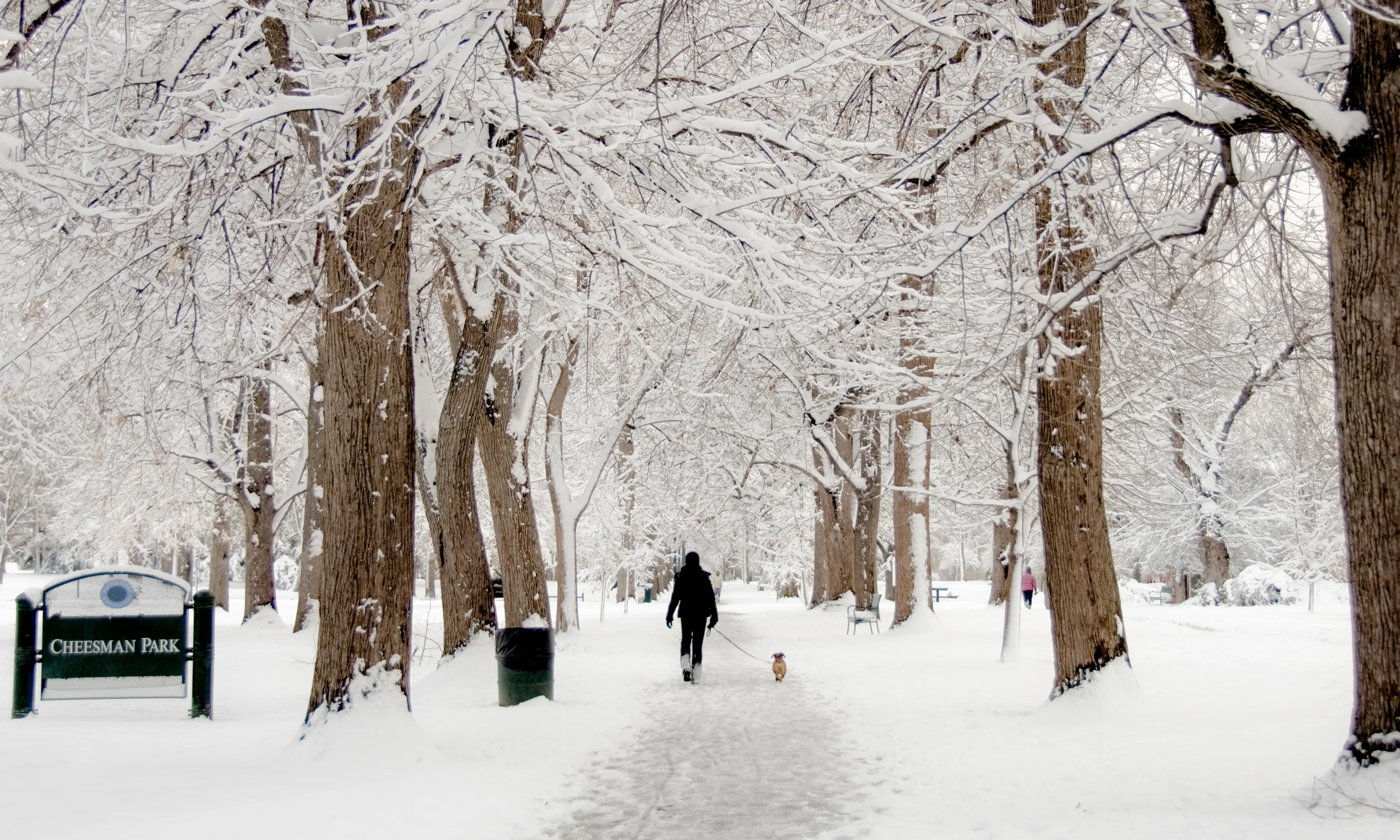 Cheesman Park in the winter