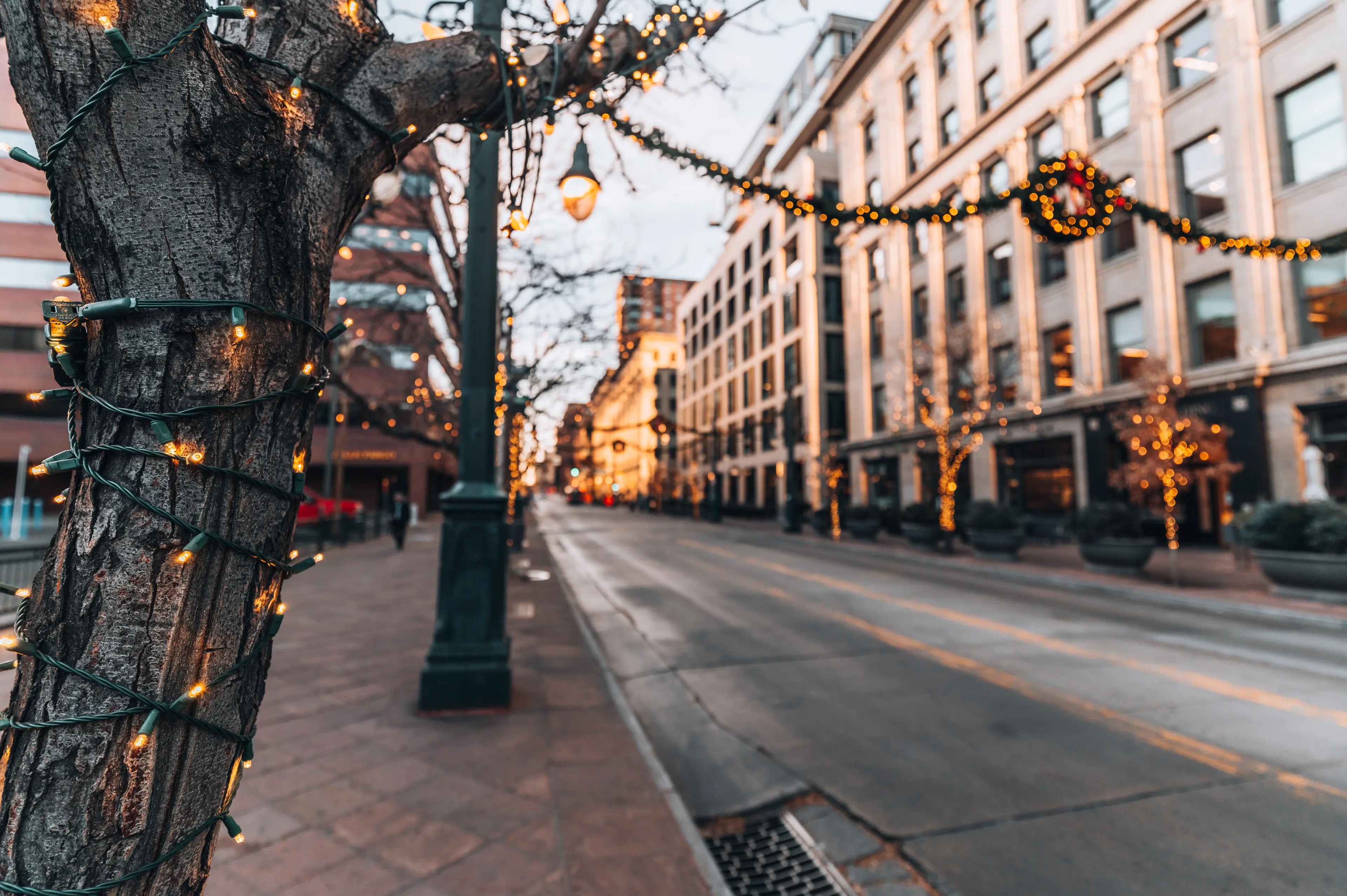 Christmas decorations in downtown Denver