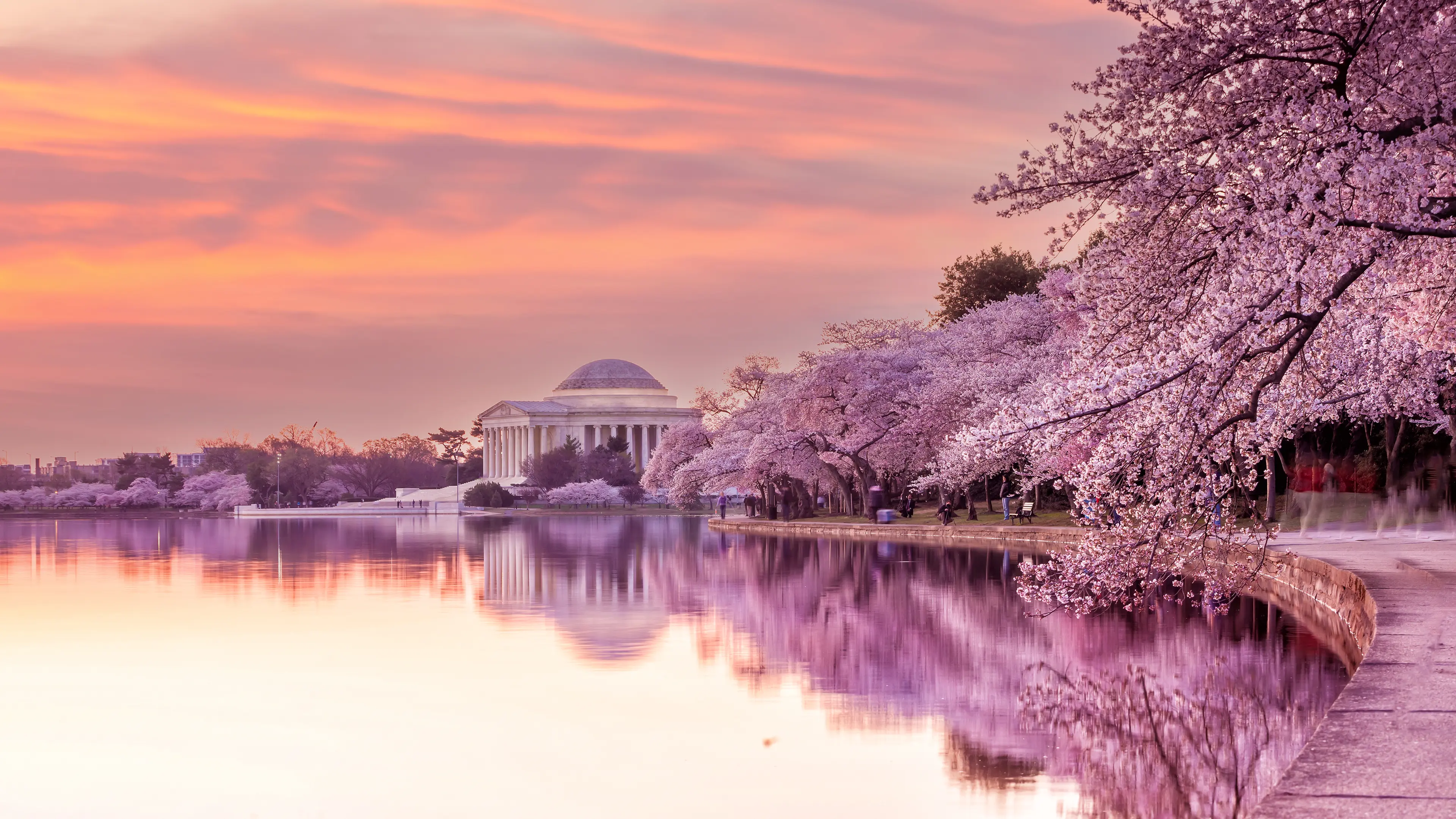 Cherry Blossom Festival