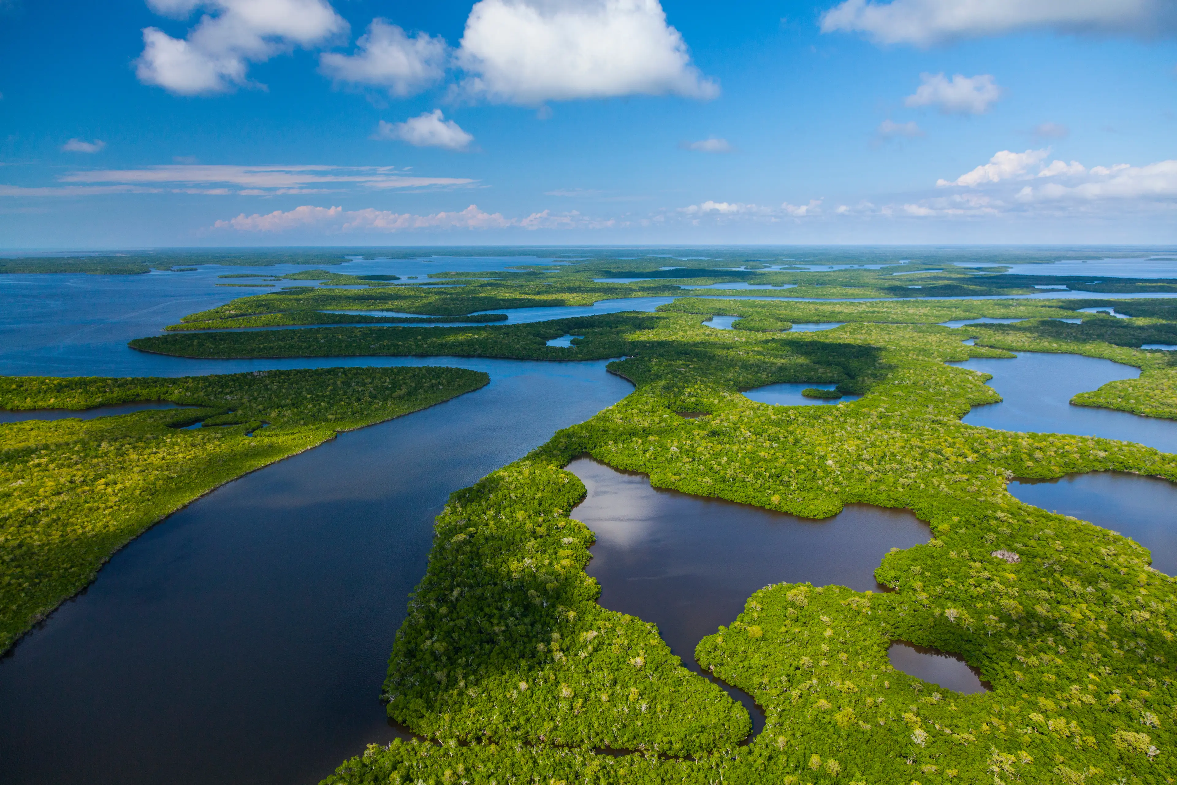 Aerial view of the Everglades National Park