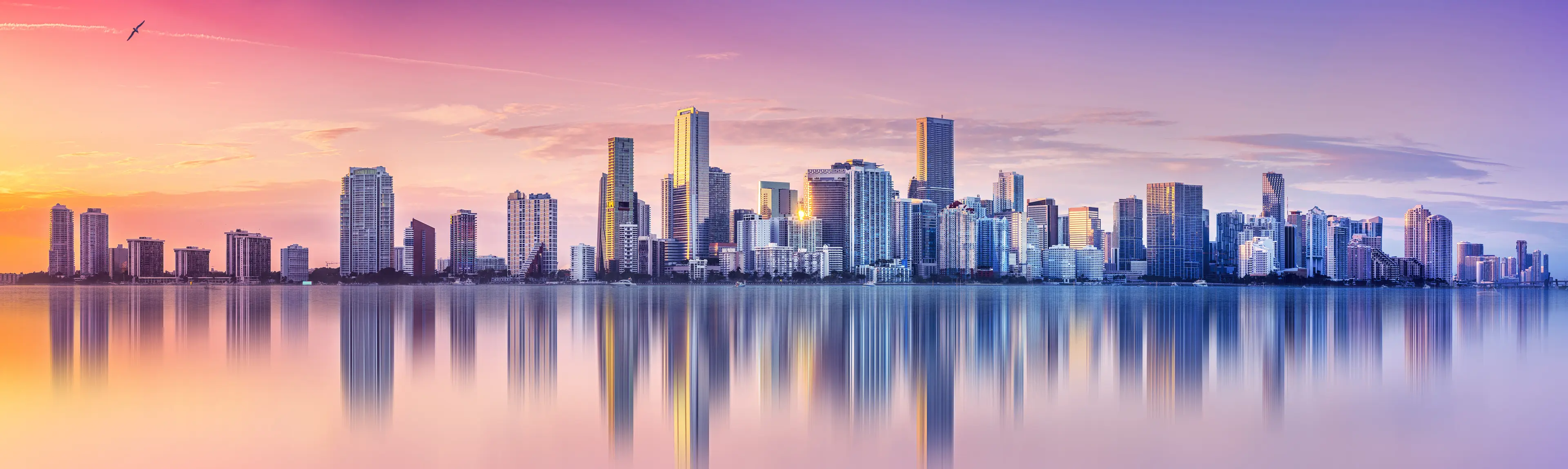 Skyline Skyline