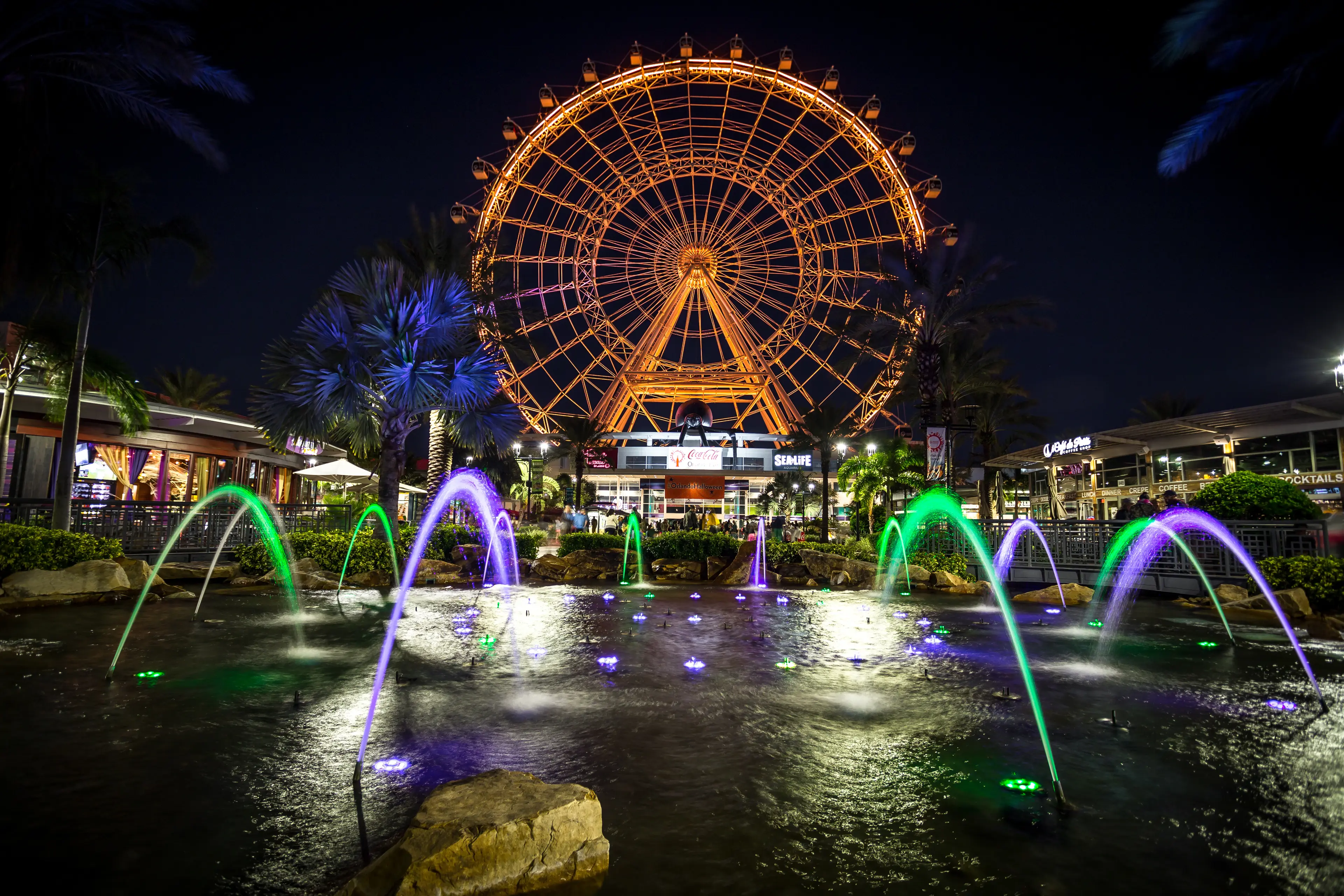 Orlando eye and fountain at night