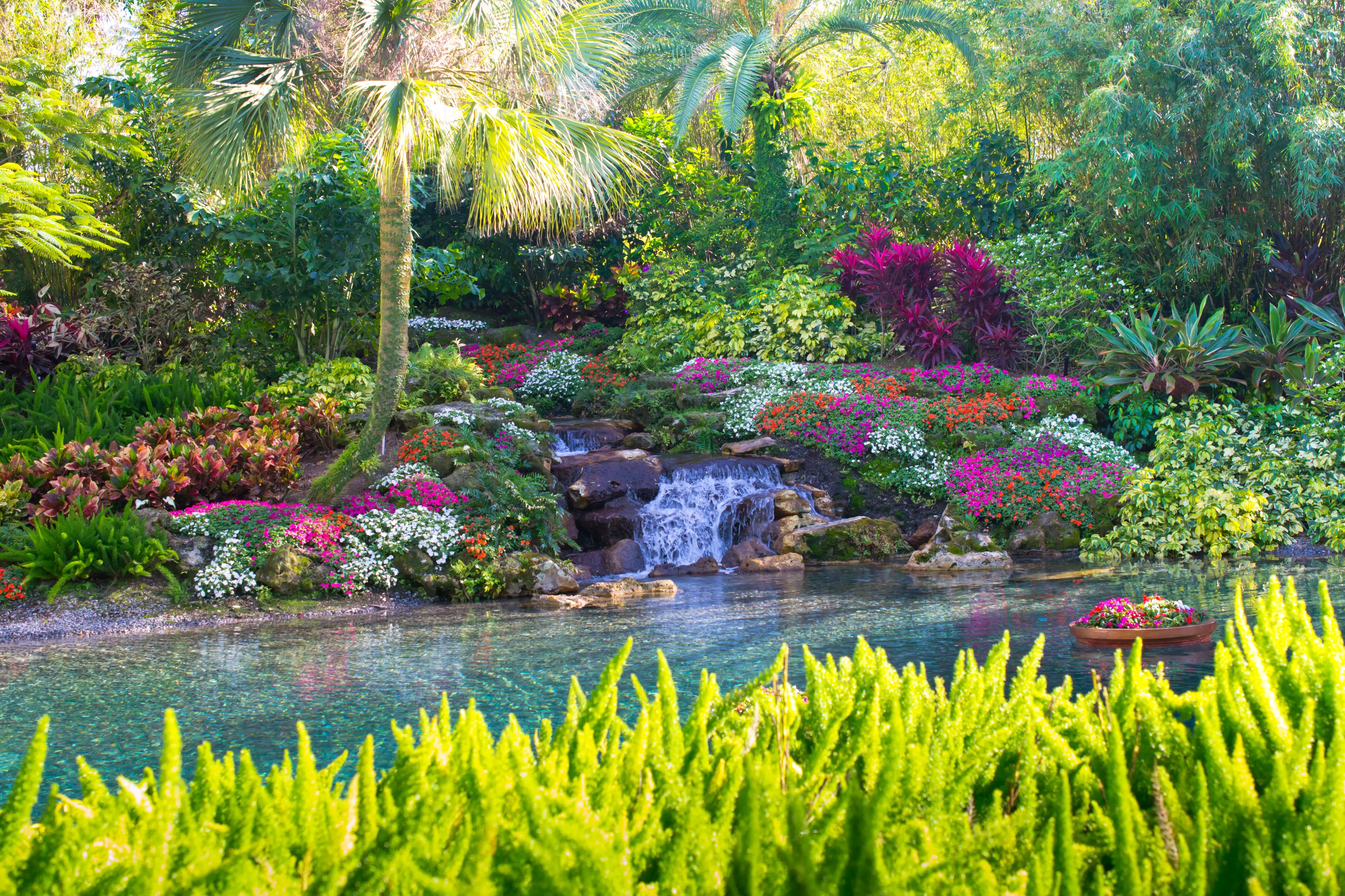 Tropical garden