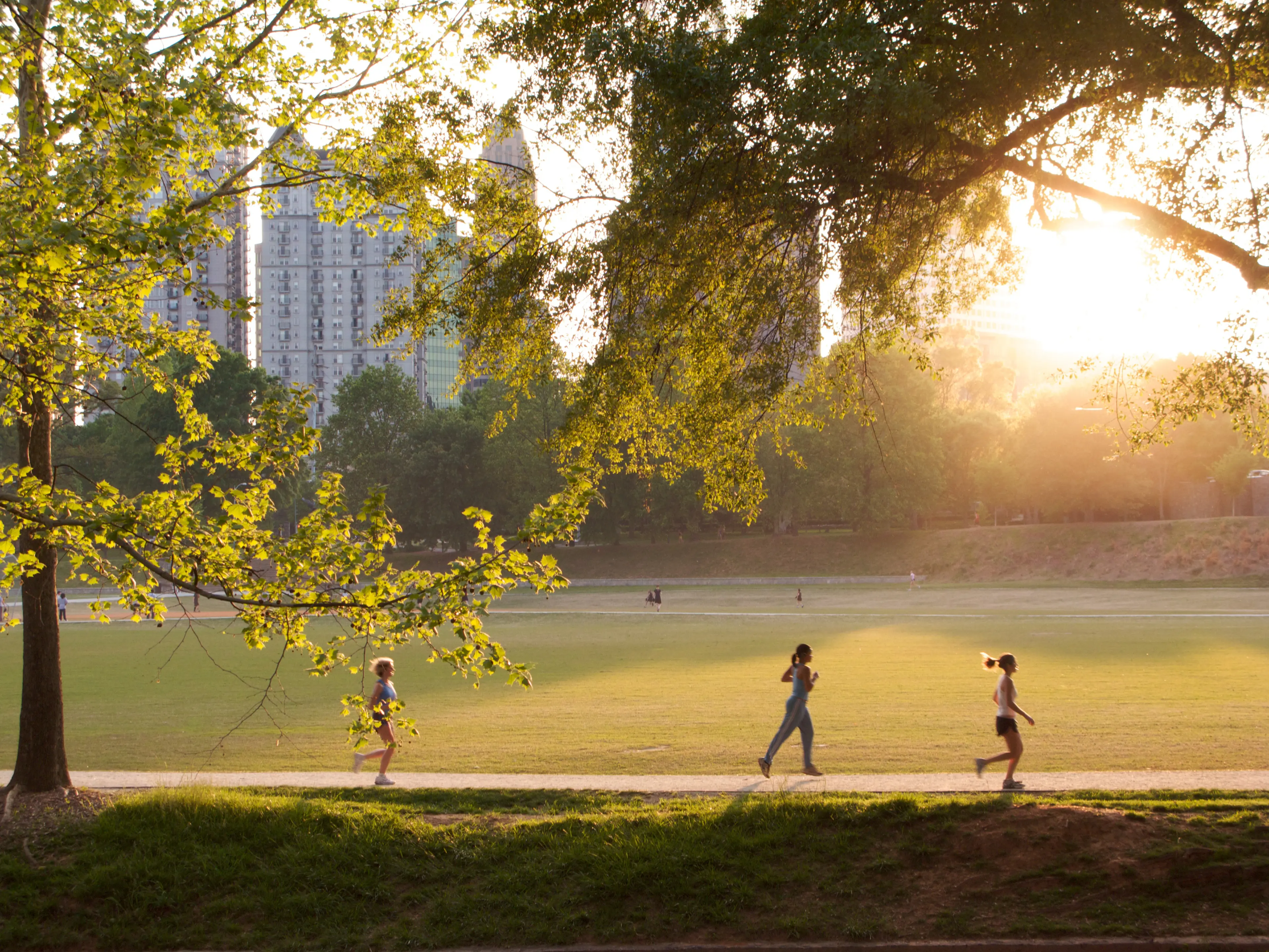 People exercising at Piedmont Park