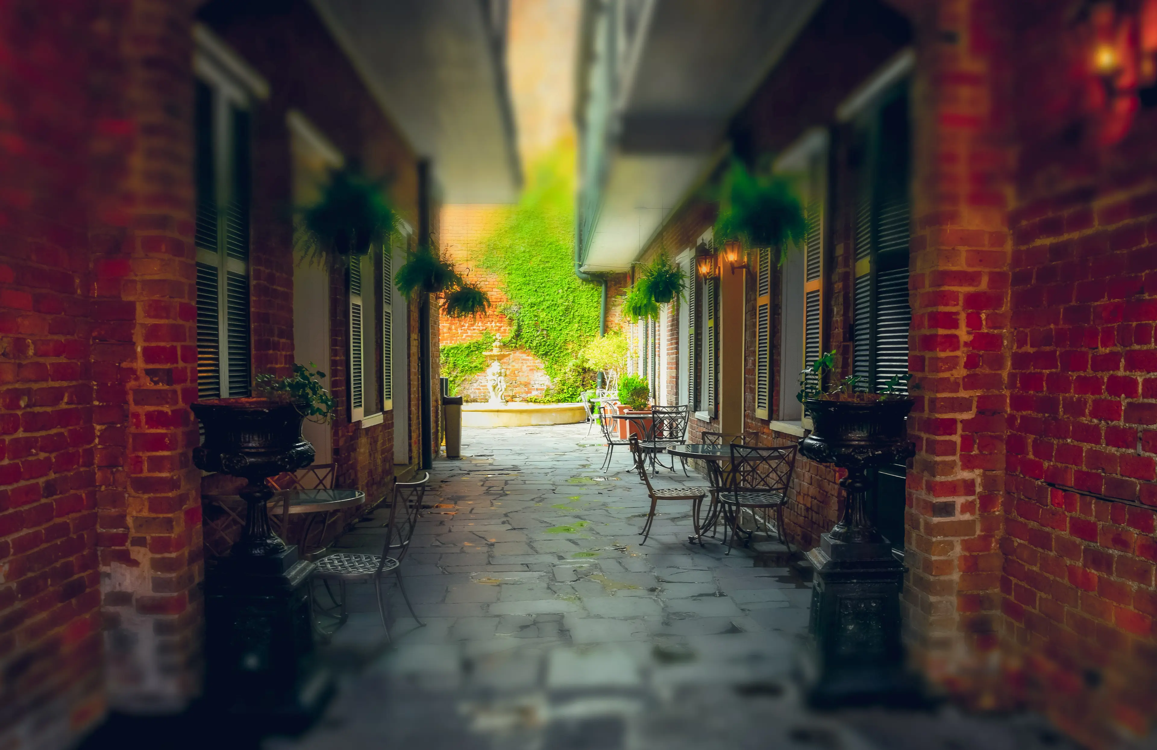 Romantic cafe on the street Romantic cafe on the street
