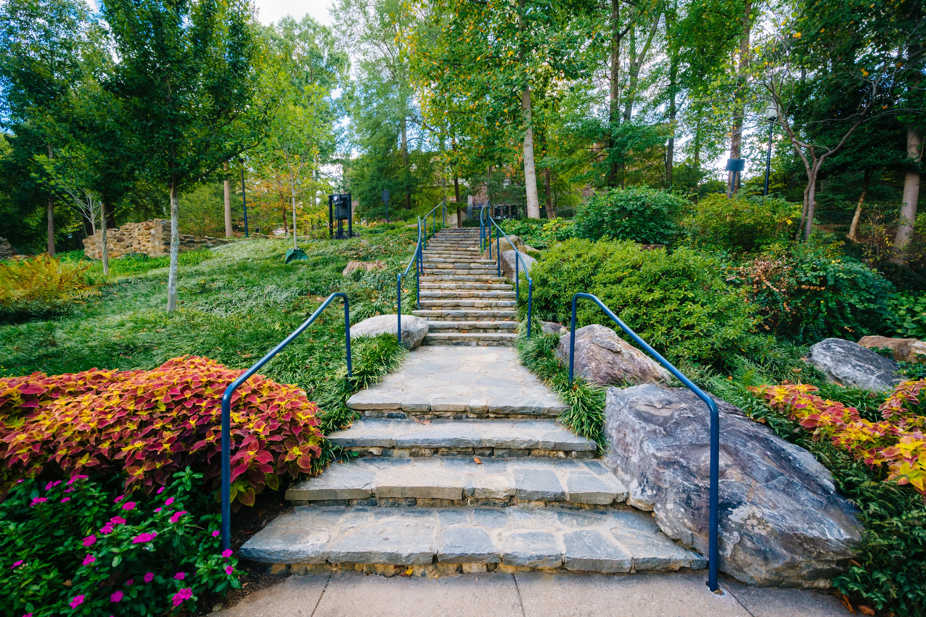 Garden and stairs at the Falls Park on the Reedy Garden and stairs at the Falls Park on the Reedy
