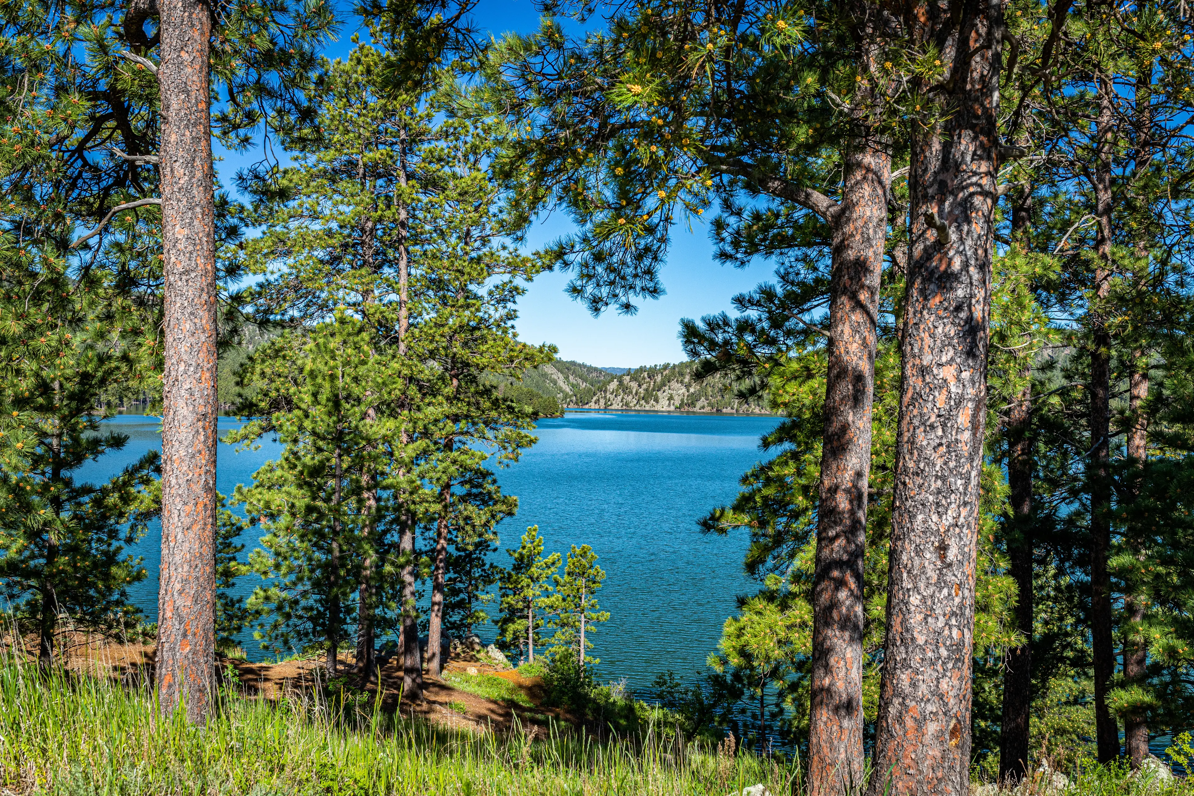 Pactola Lake