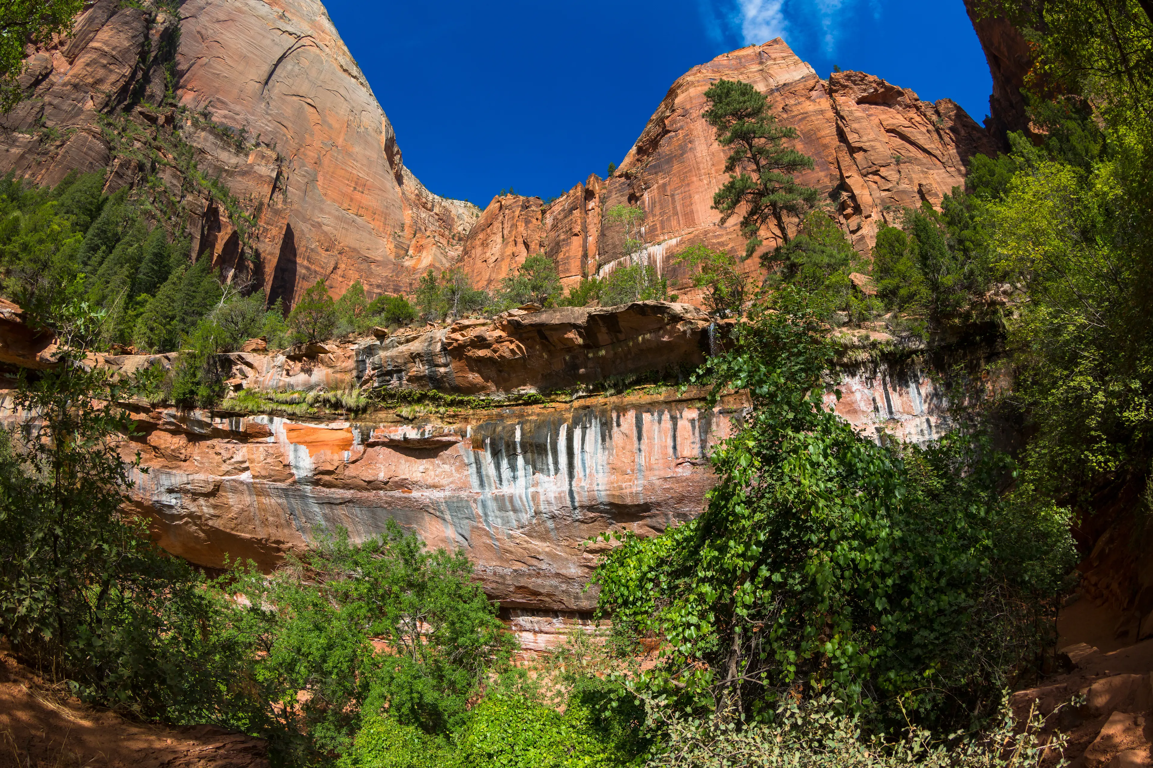 1-Day Local's Guide: Sightseeing & Outdoor Activities in Zion, Utah