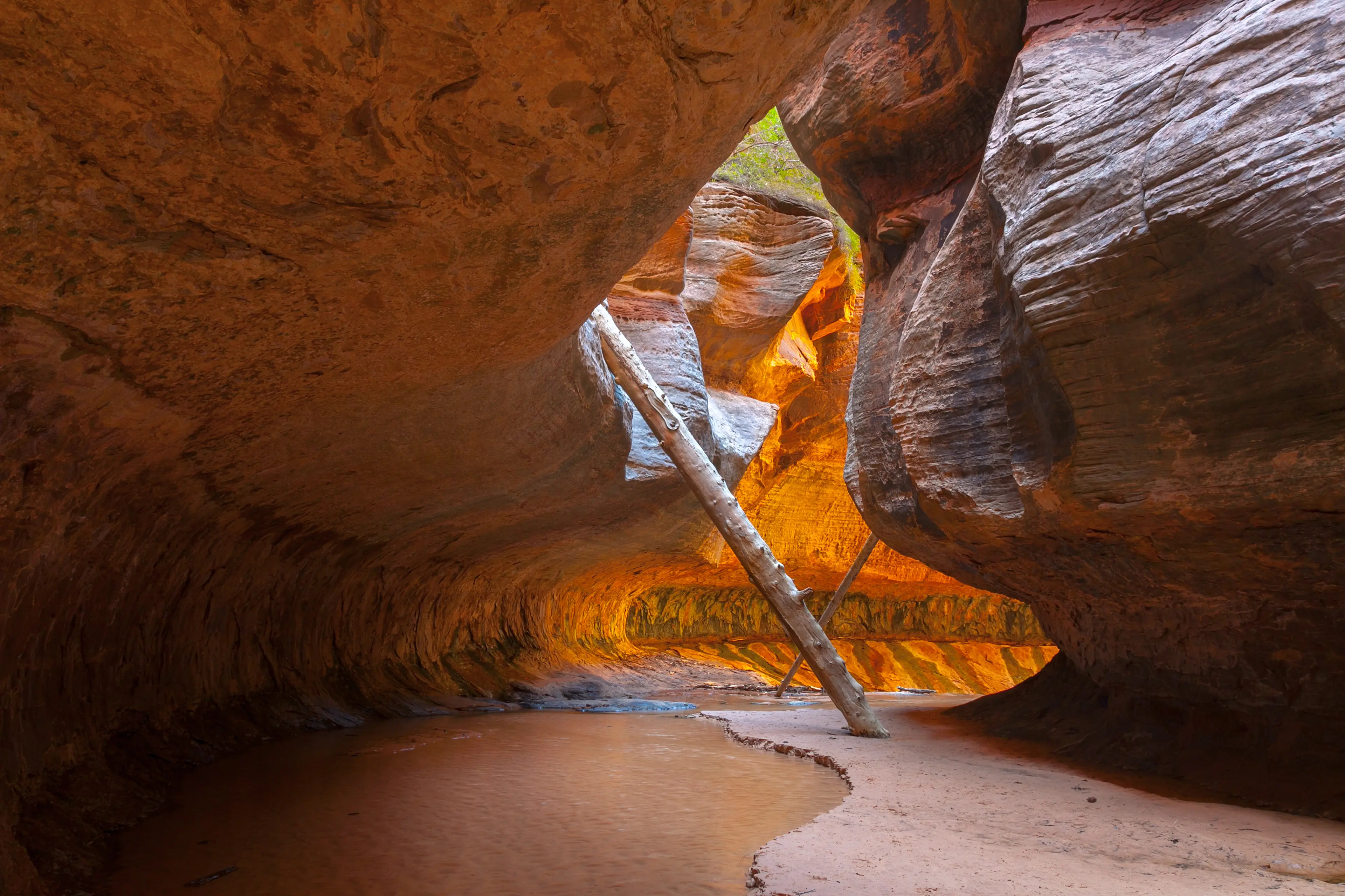 2-Day Exploration Adventure in Zion National Park, Utah