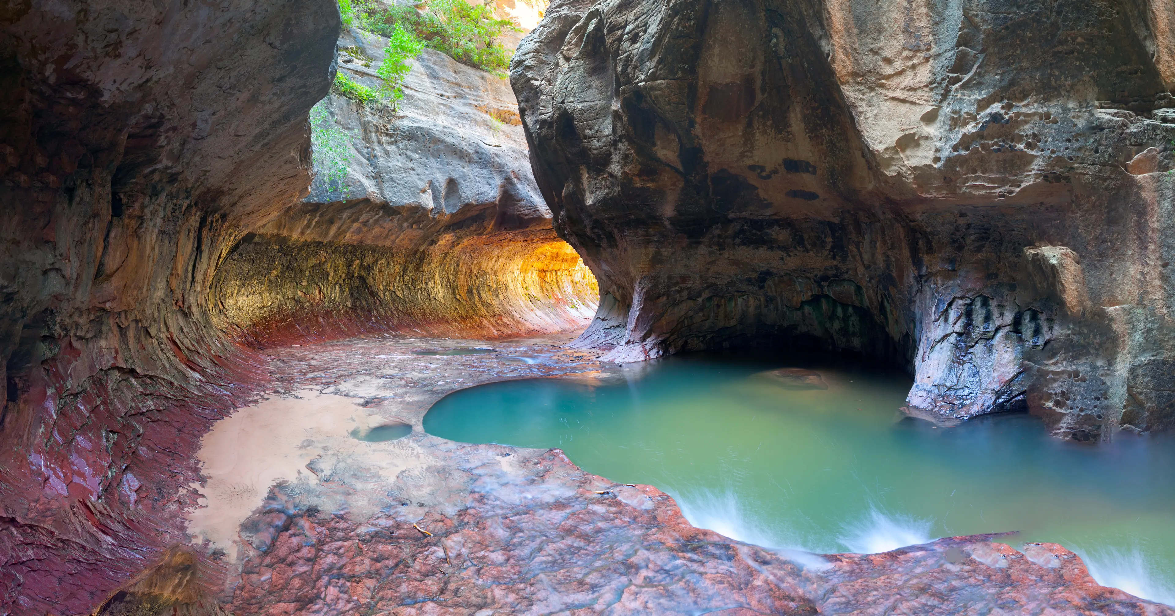 1-Day Family Adventure in Zion National Park for Locals