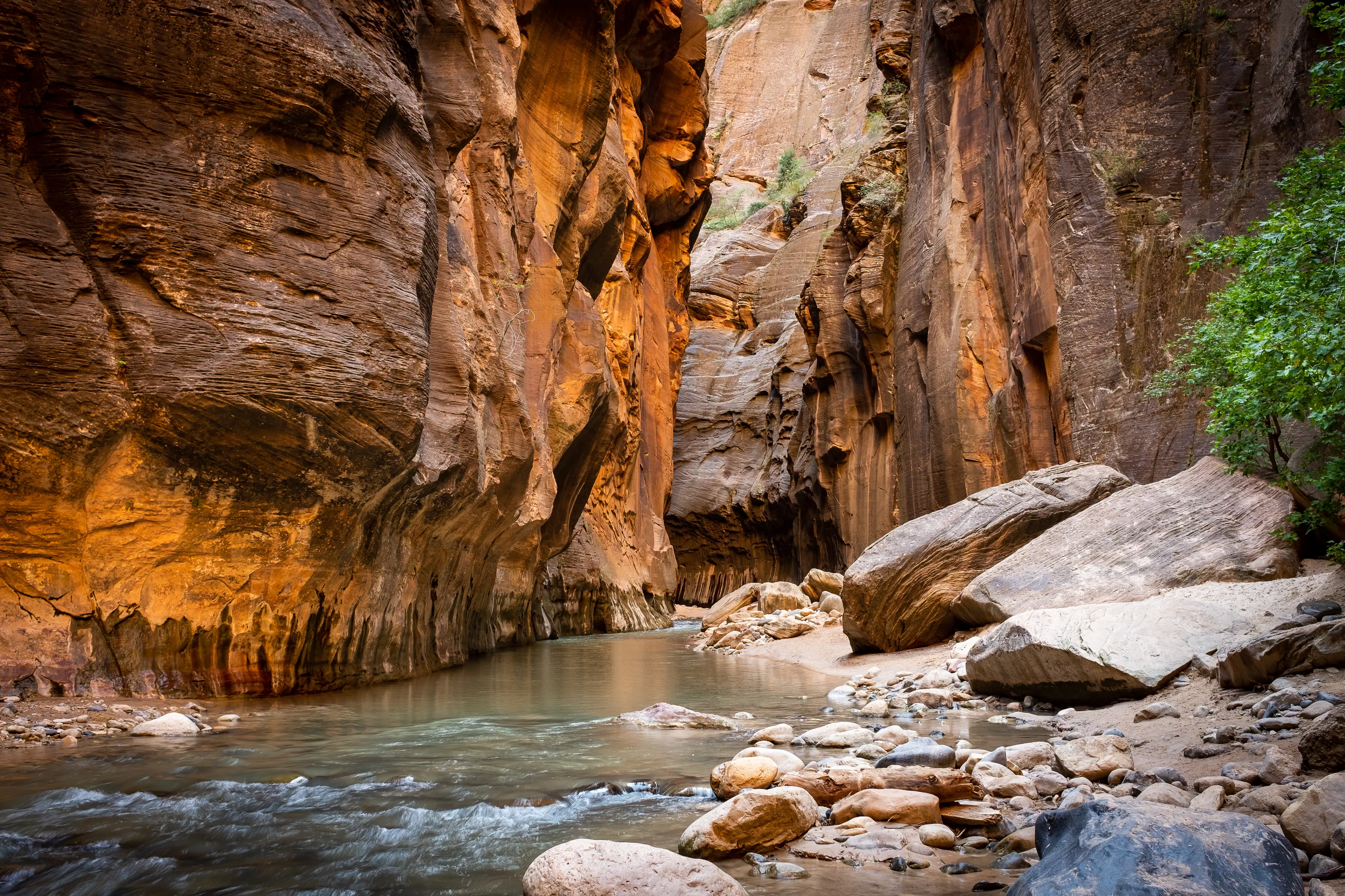 3-Day Outdoor Adventure and Sightseeing in Zion National Park, Utah