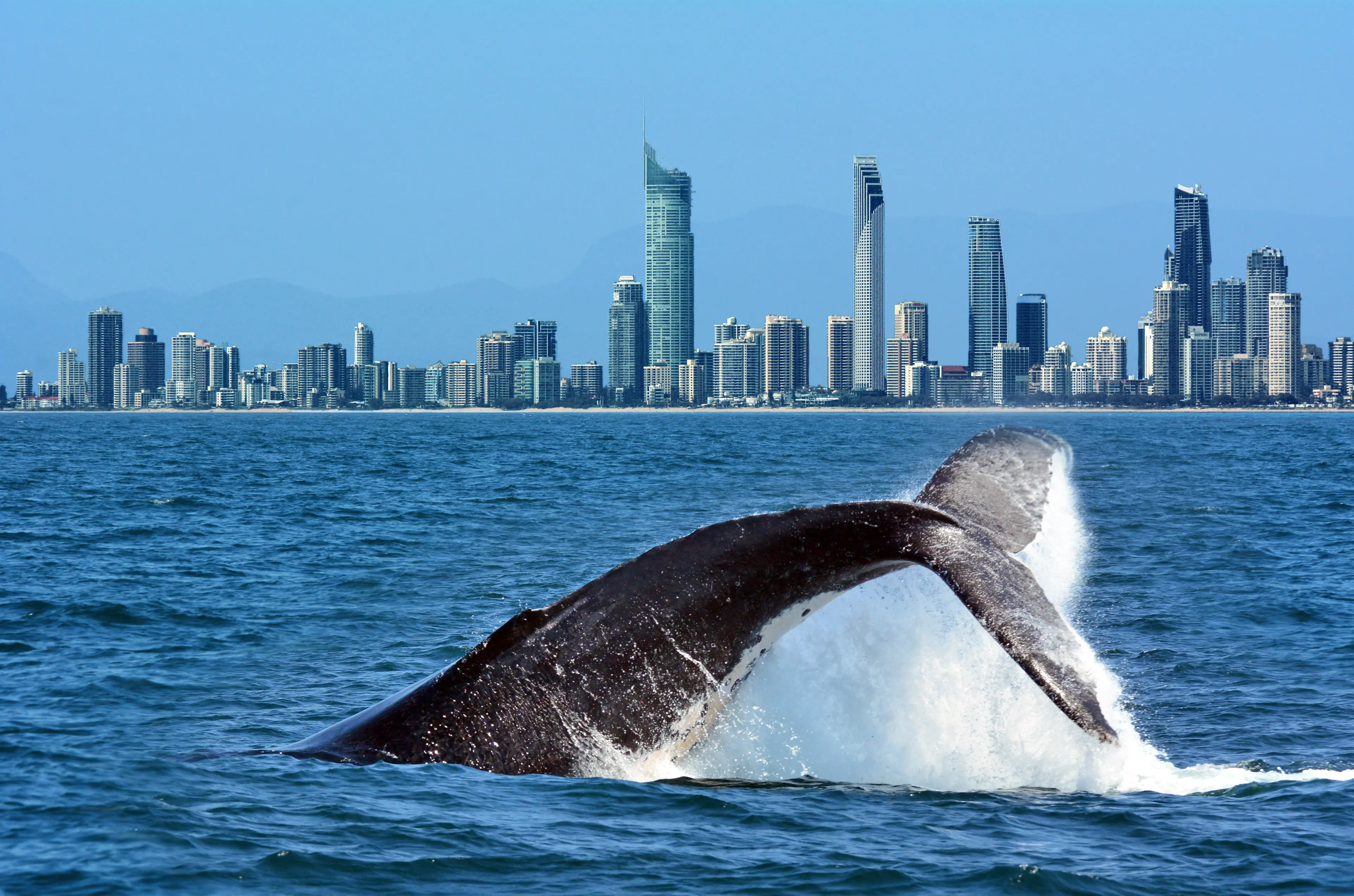 3-Day Solo Food, Wine, Shopping & Sightseeing Adventure in Gold Coast