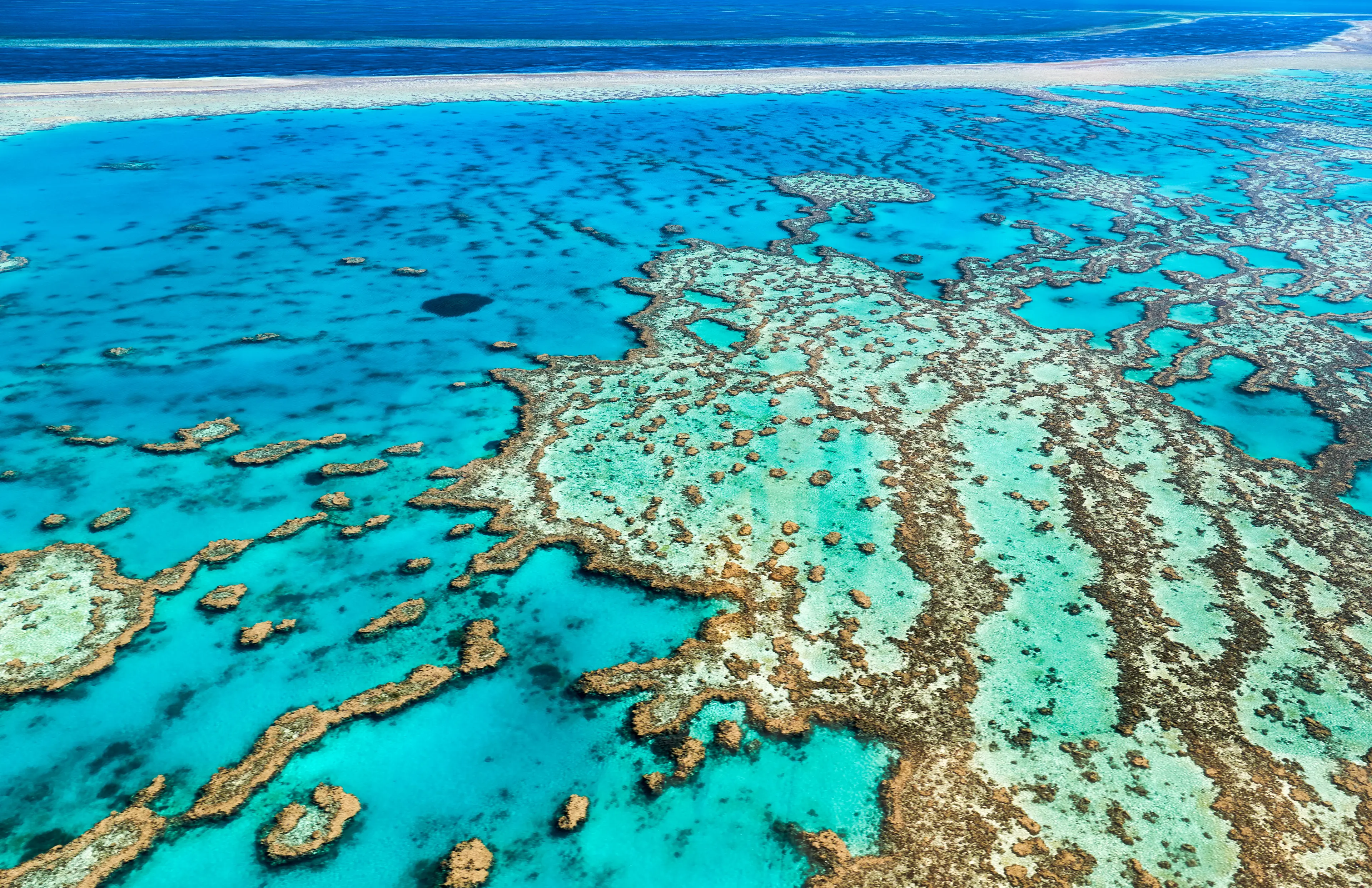 1-Day Local Family Adventure & Relaxation at Great Barrier Reef