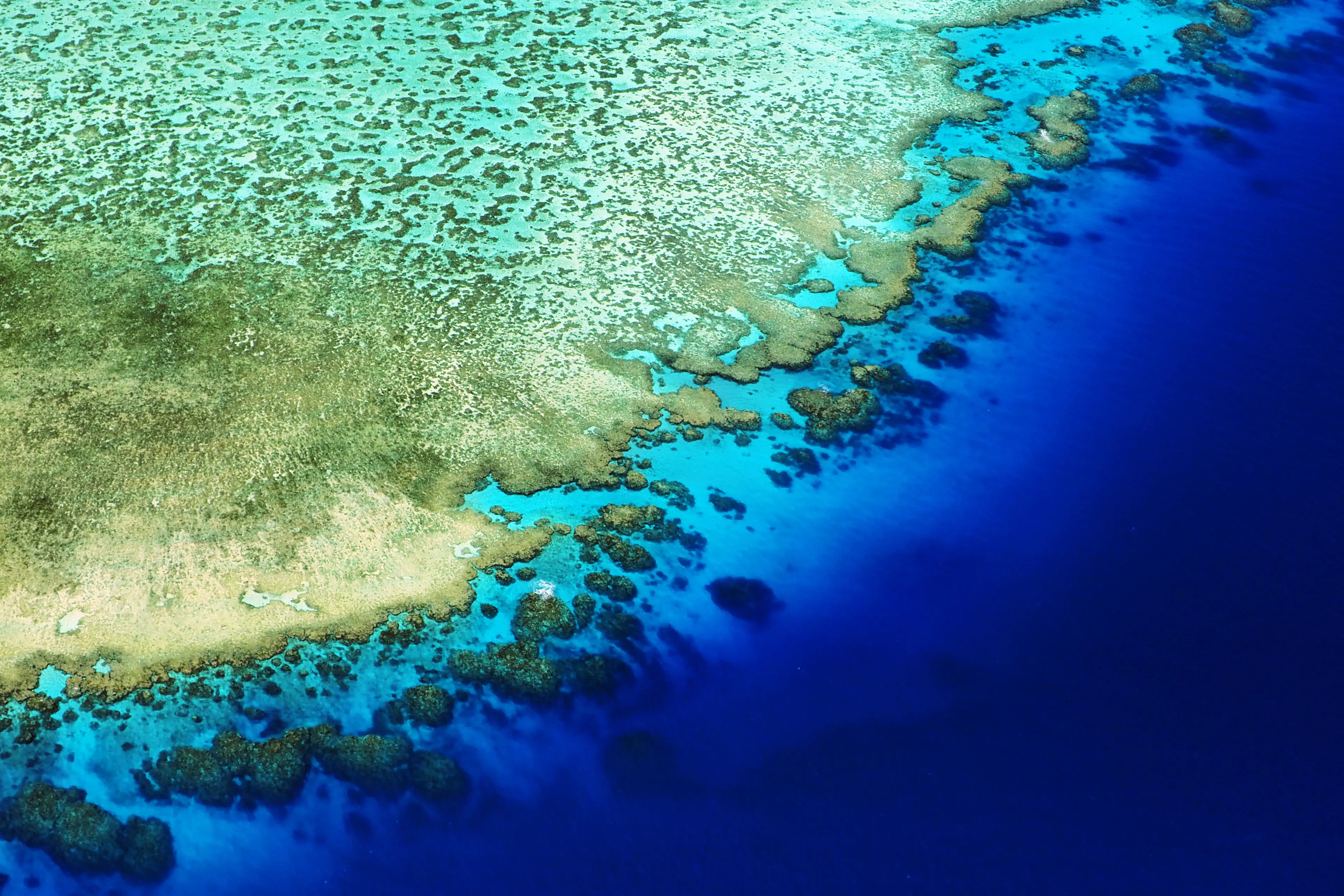 Lodestone Reef crest meets the ocean