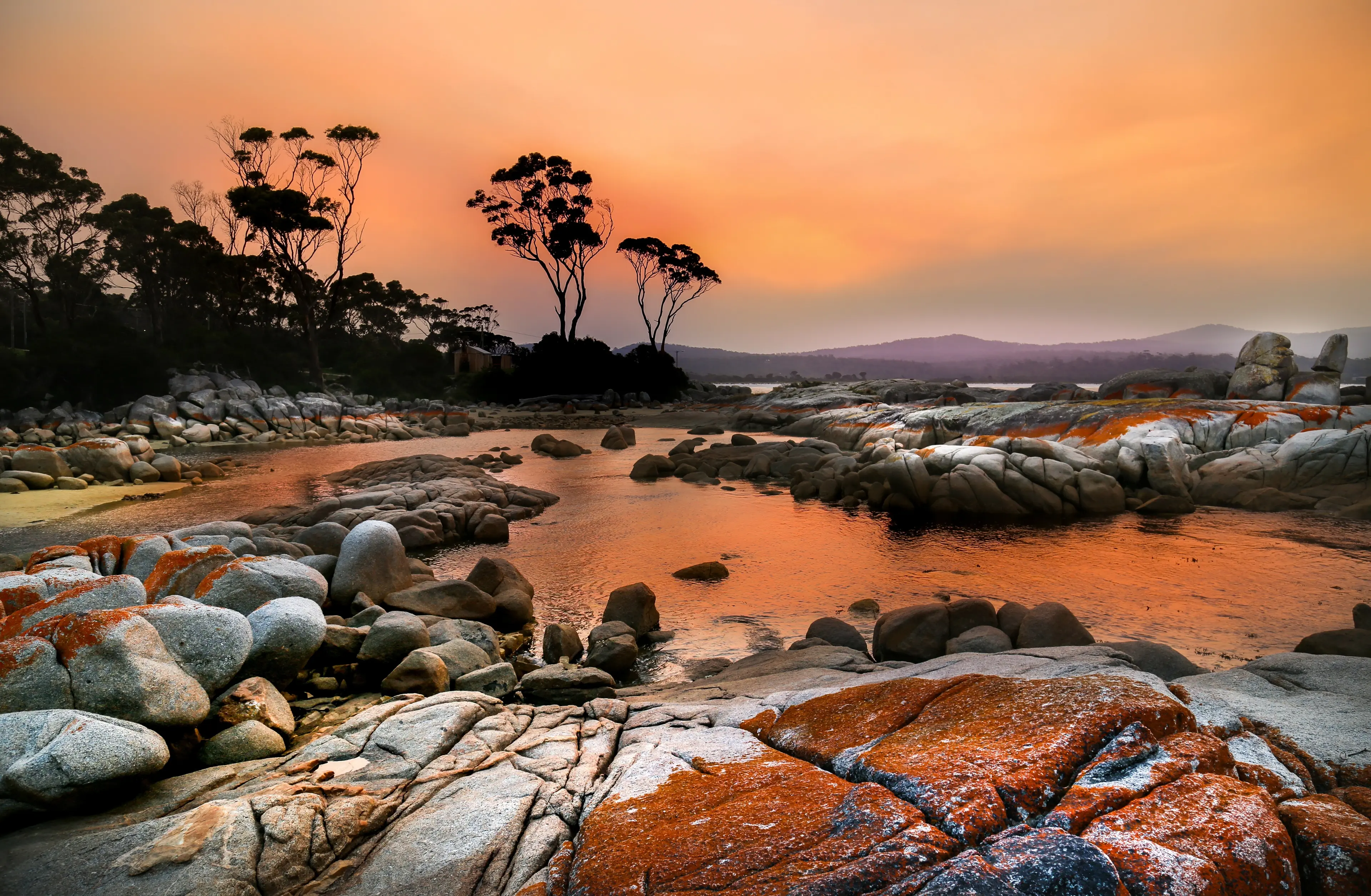 Explore Tasmania, Australia: A Thrilling One-Day Itinerary