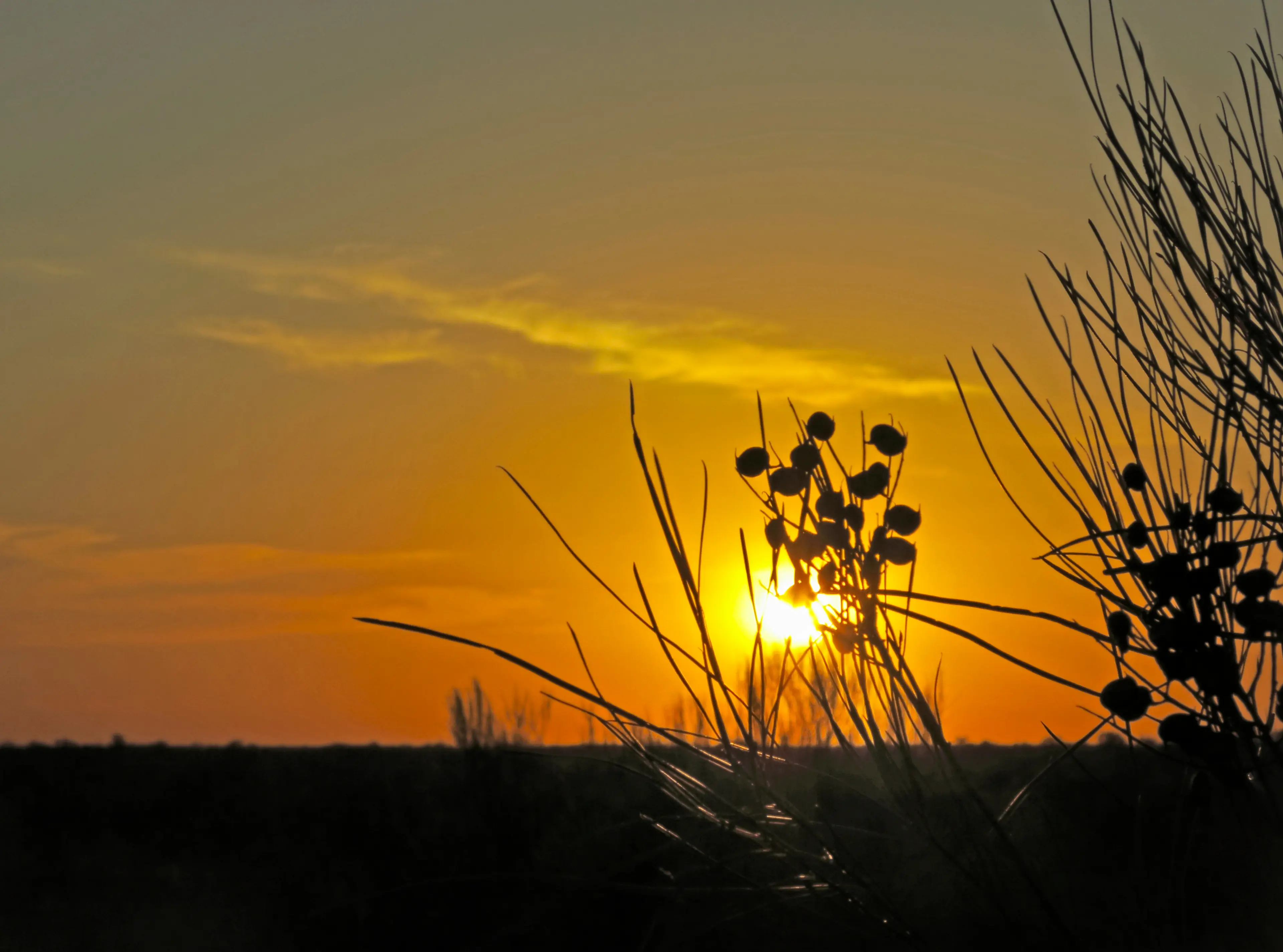 Sunrise view