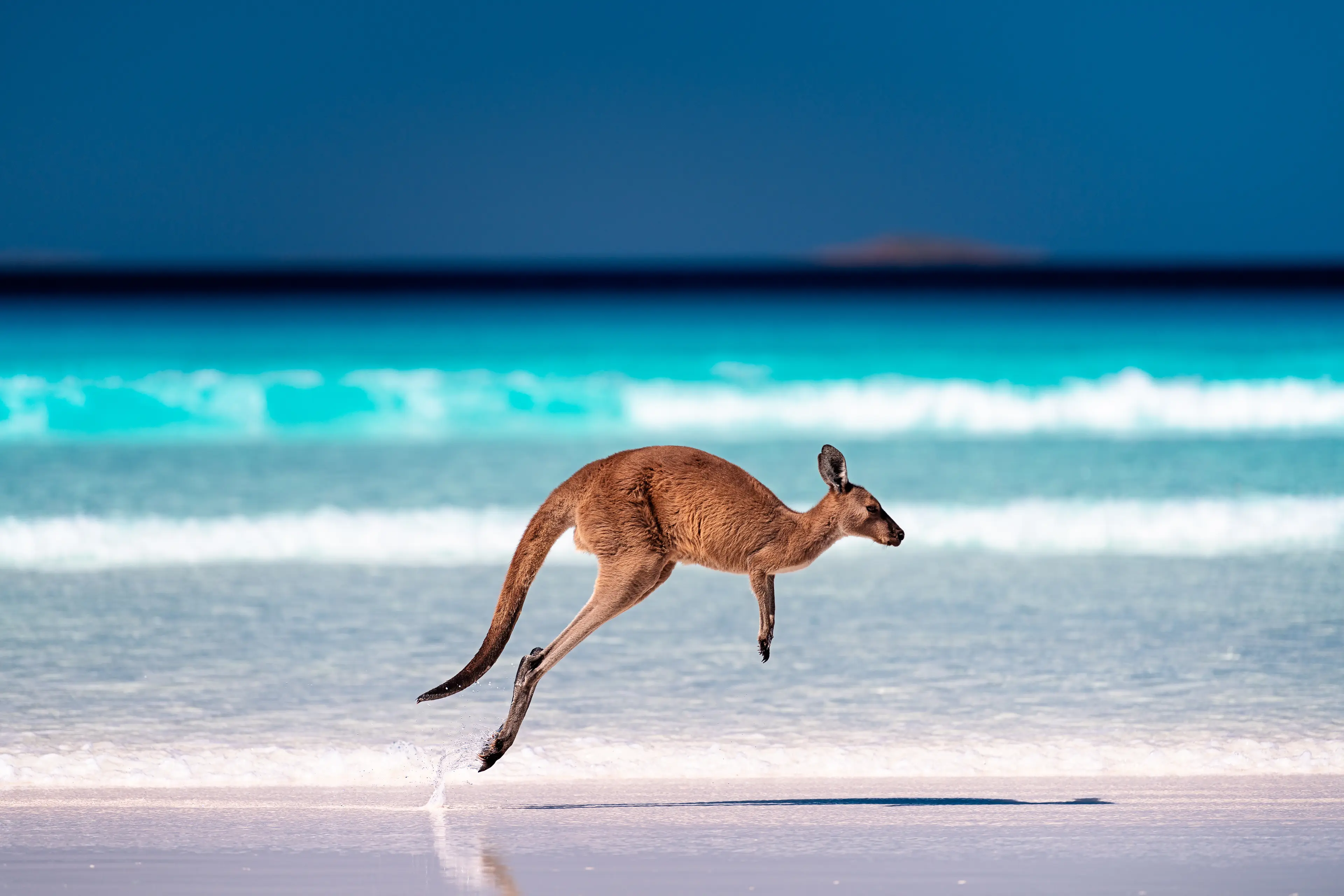 4-Day Adventure Through Stunning Western Australia