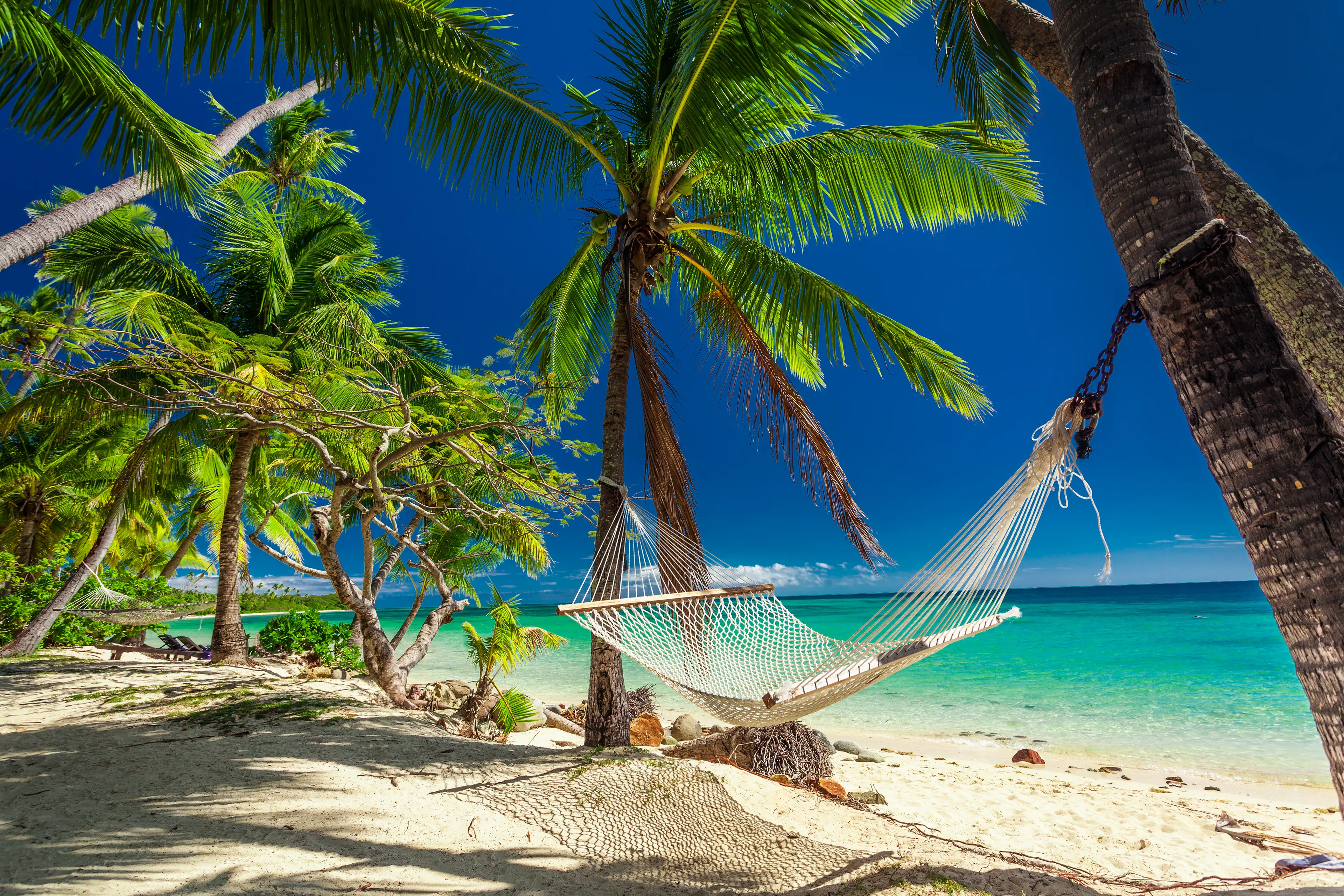Hammock in the shade of palm trees on tropical island