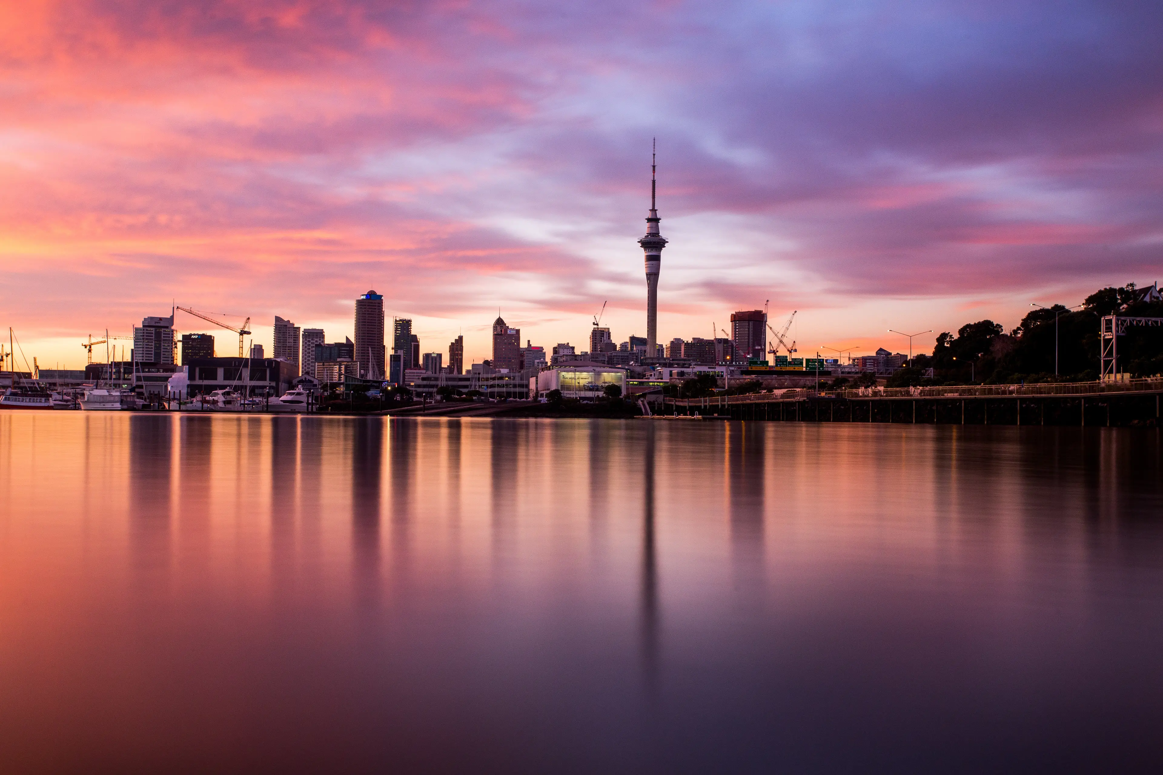 1-Day Auckland Adventure: Shopping, Dining, and Wine with Friends