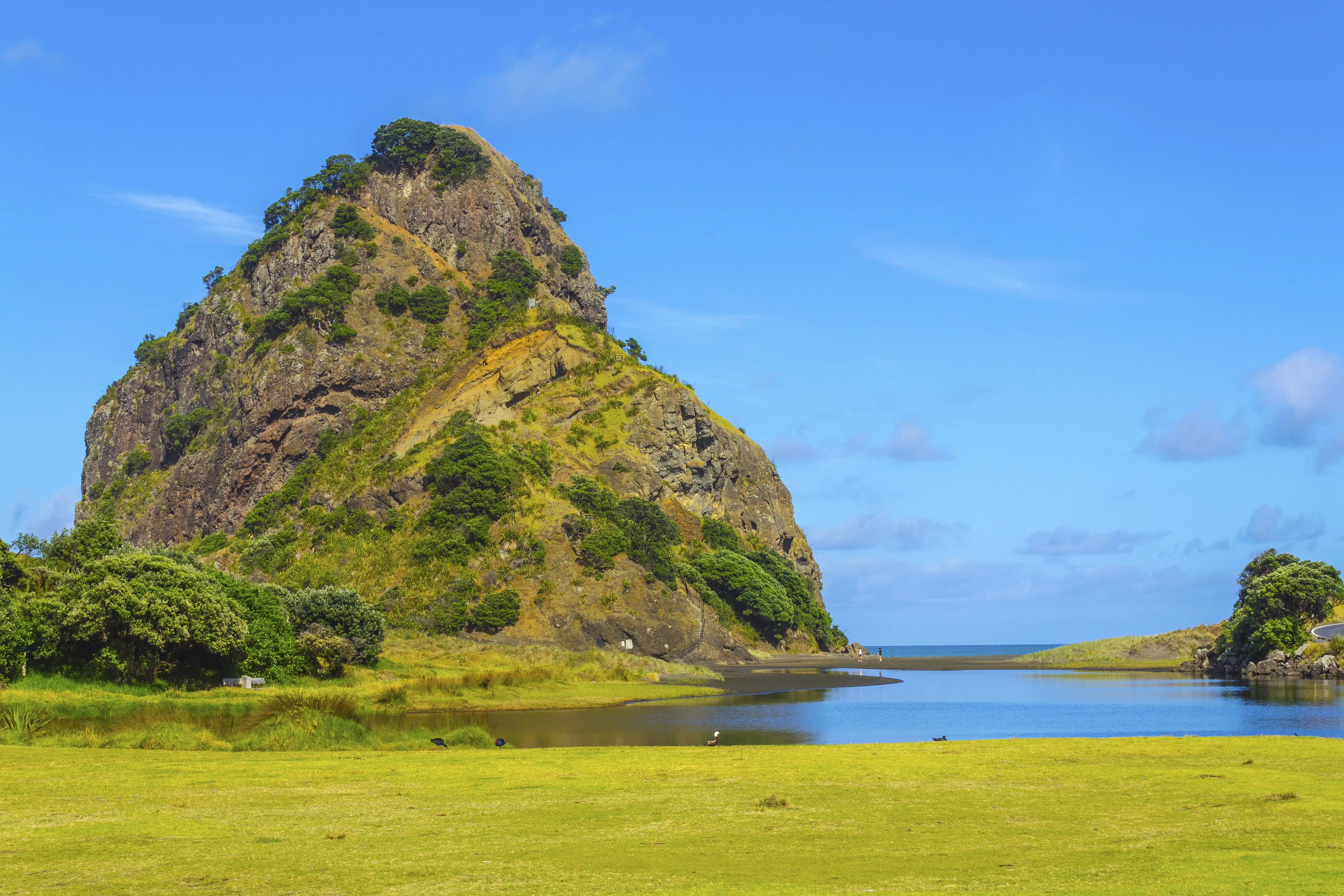 Lion Rock Piha Beach Lion Rock Piha Beach