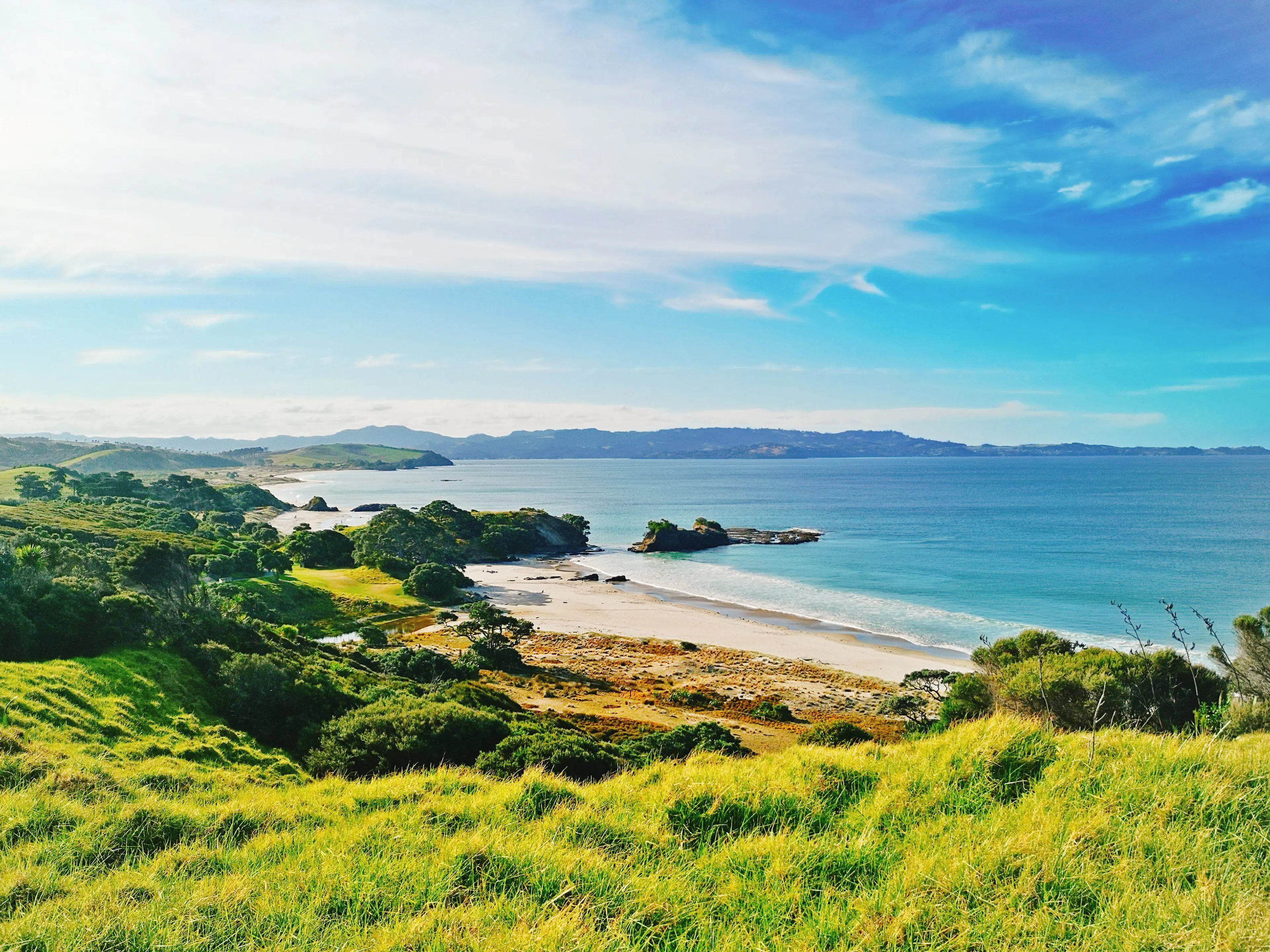 3-Day Auckland Adventure: Gourmet Food, Wine, and Shopping Extravaganza