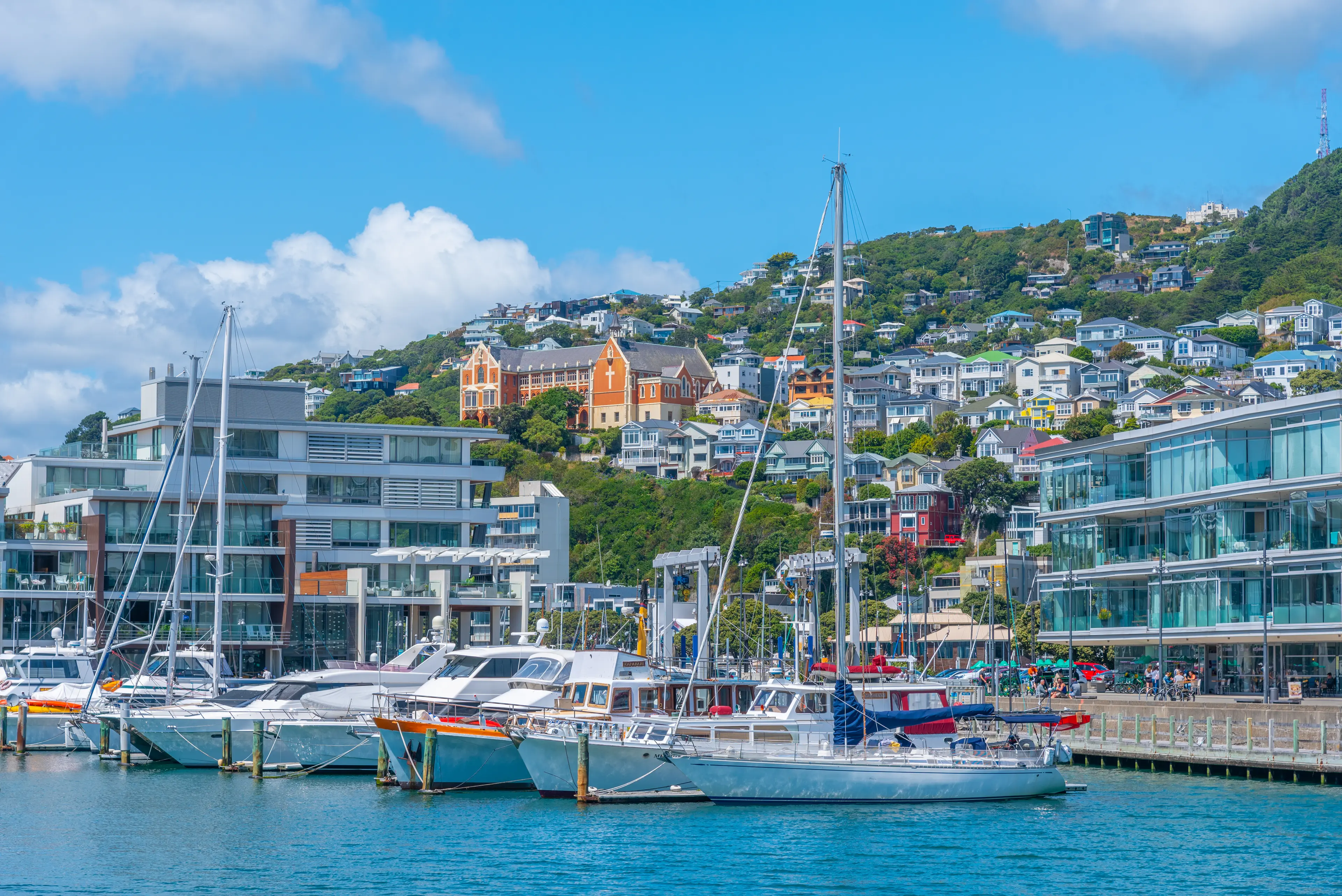 Wellington marina Wellington marina