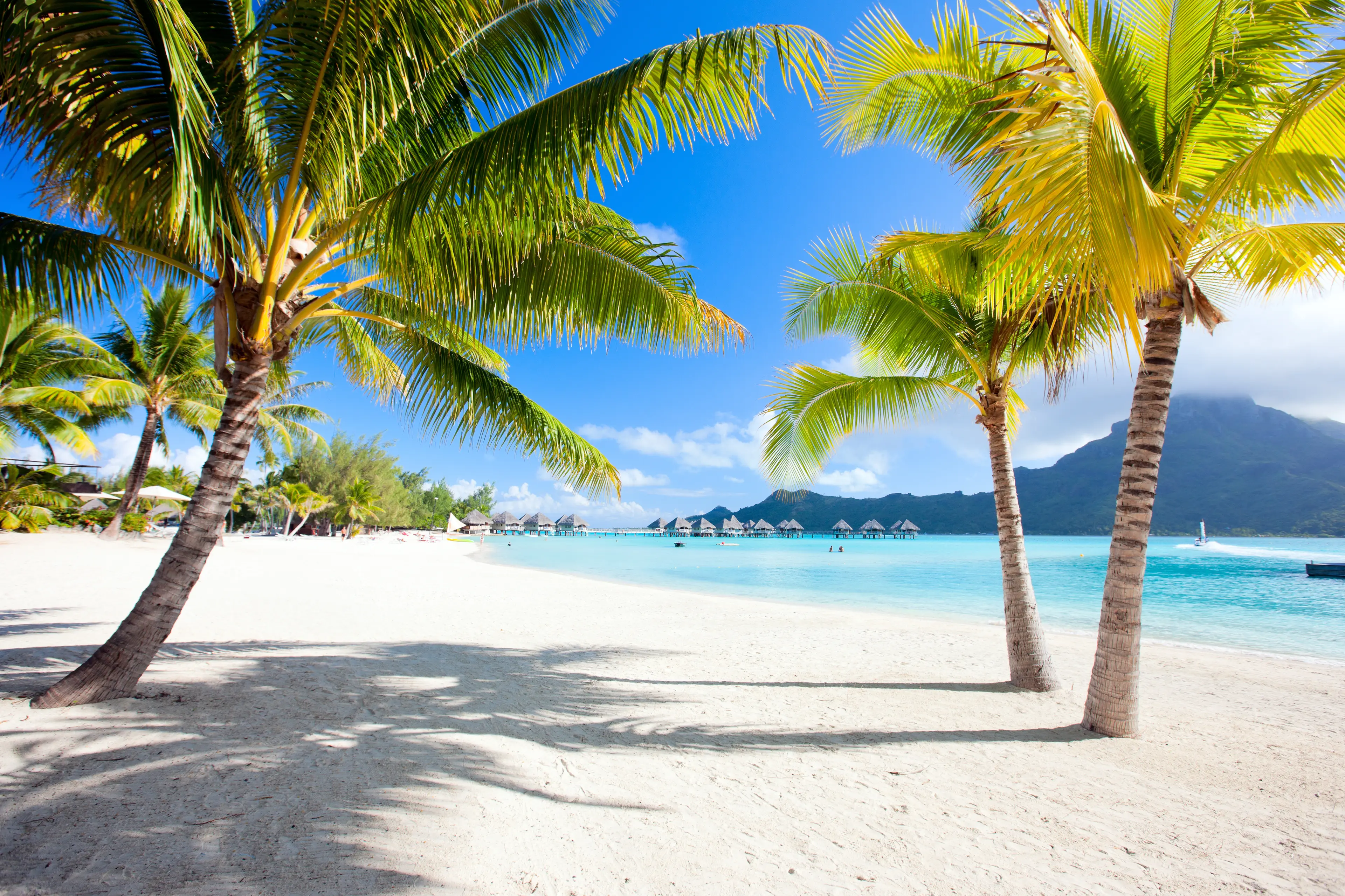 4-Day Local Family Experience in Bora Bora: Gourmet and Sightseeing