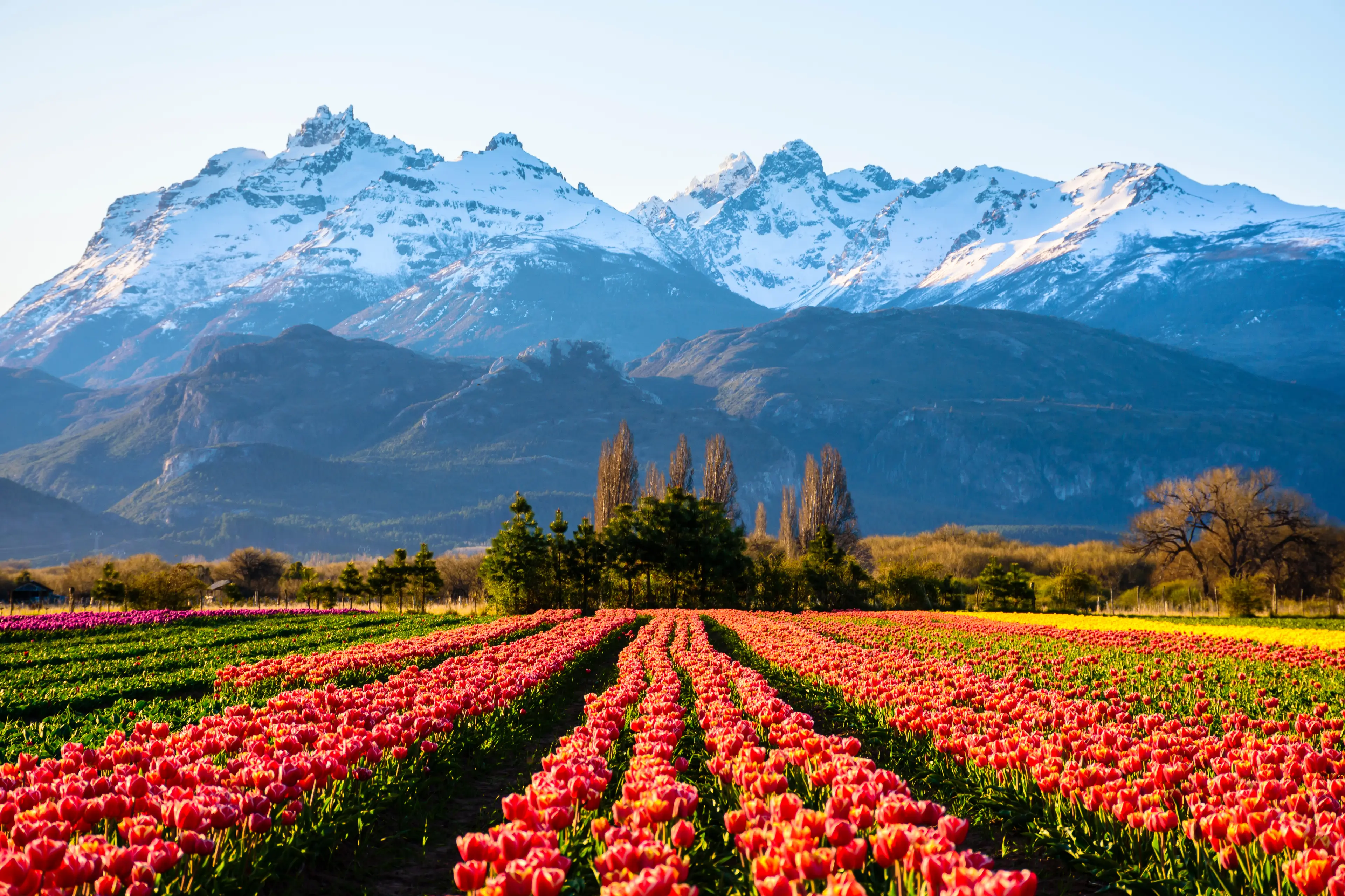 3-Day Argentine Patagonia Tour: Sightseeing and Gourmet Experience for Couples