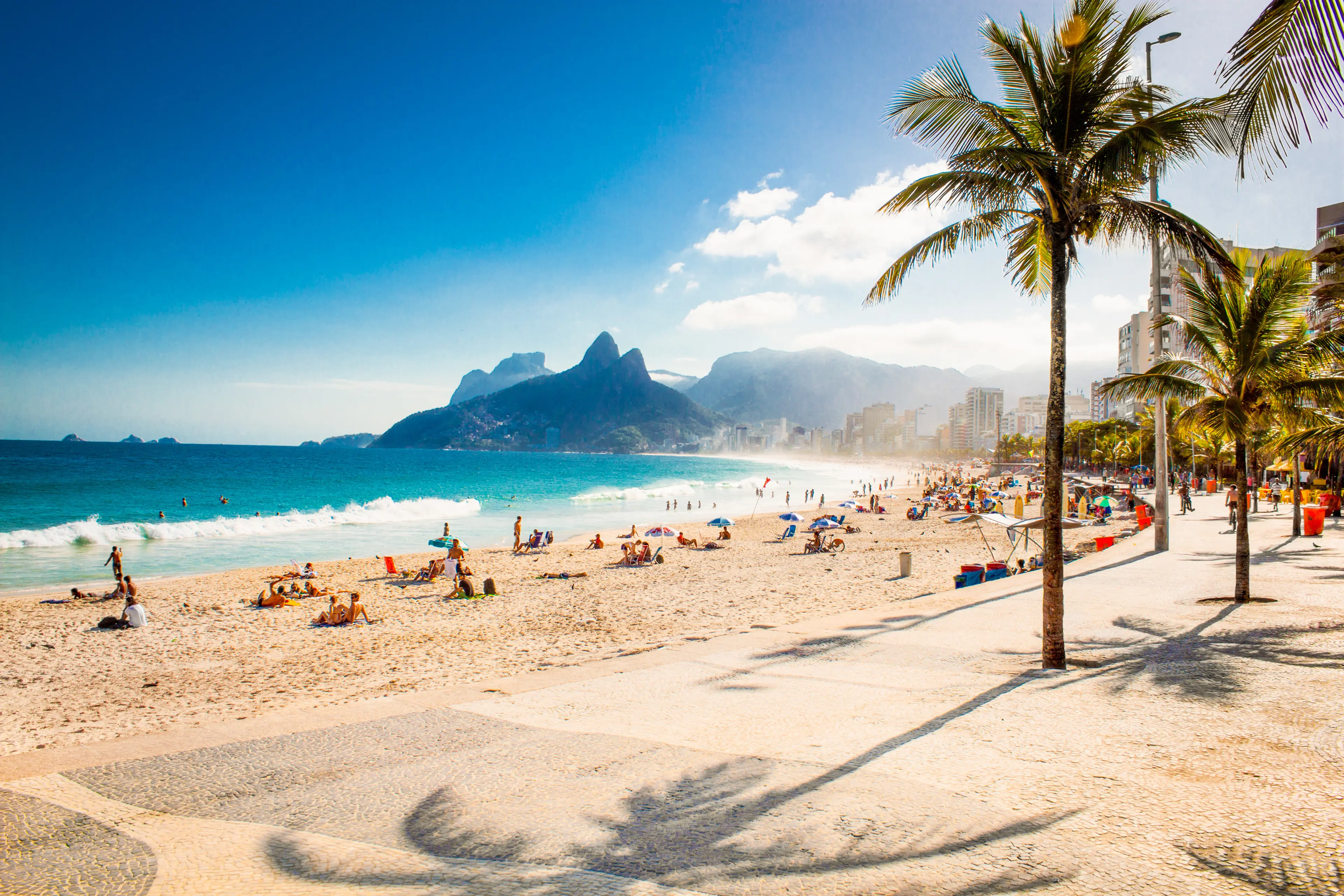 Palms and Two Brothers Mountain on Ipanema beach