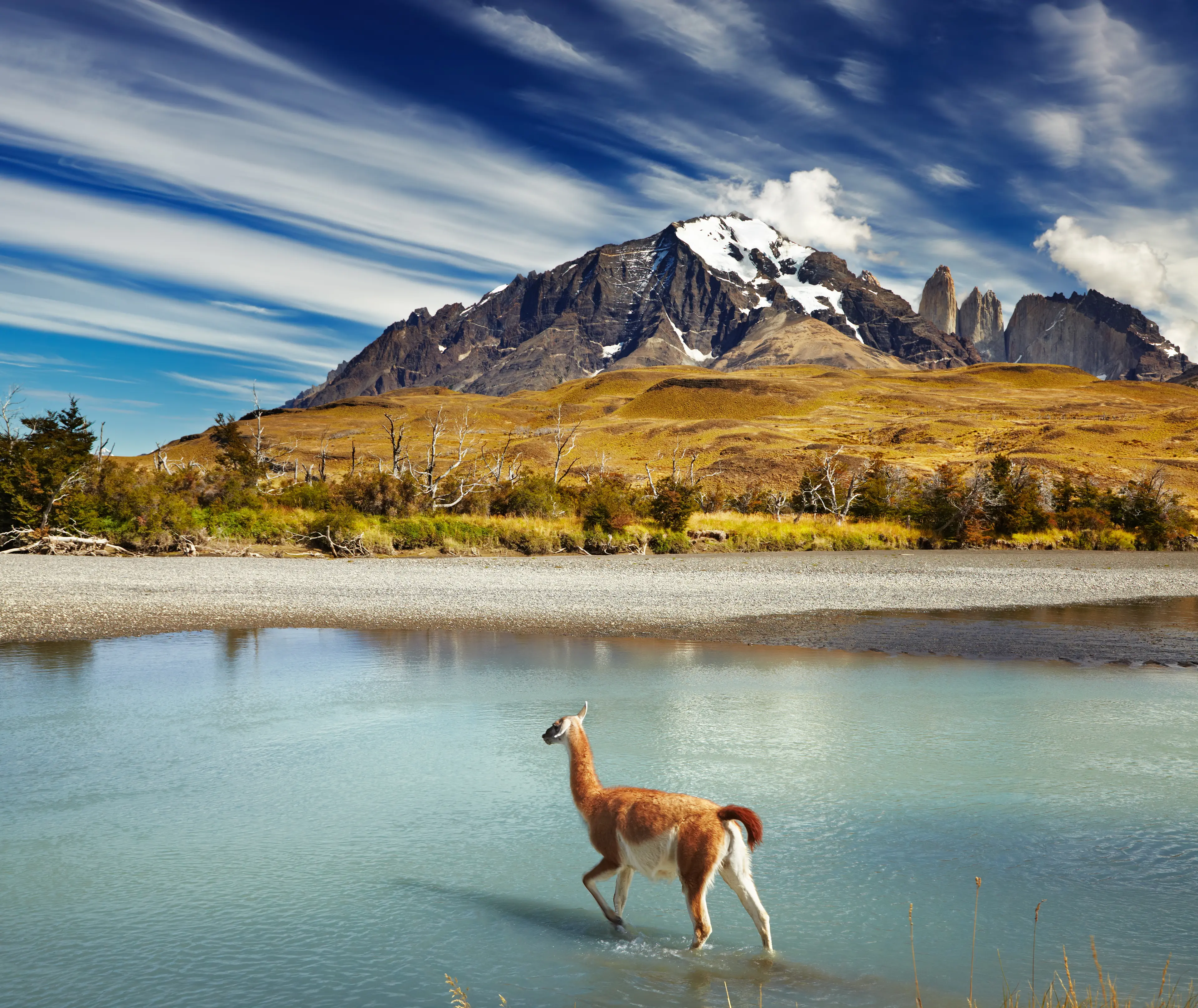 2-Day Local's Guide: Solo Adventures in Chilean Patagonia