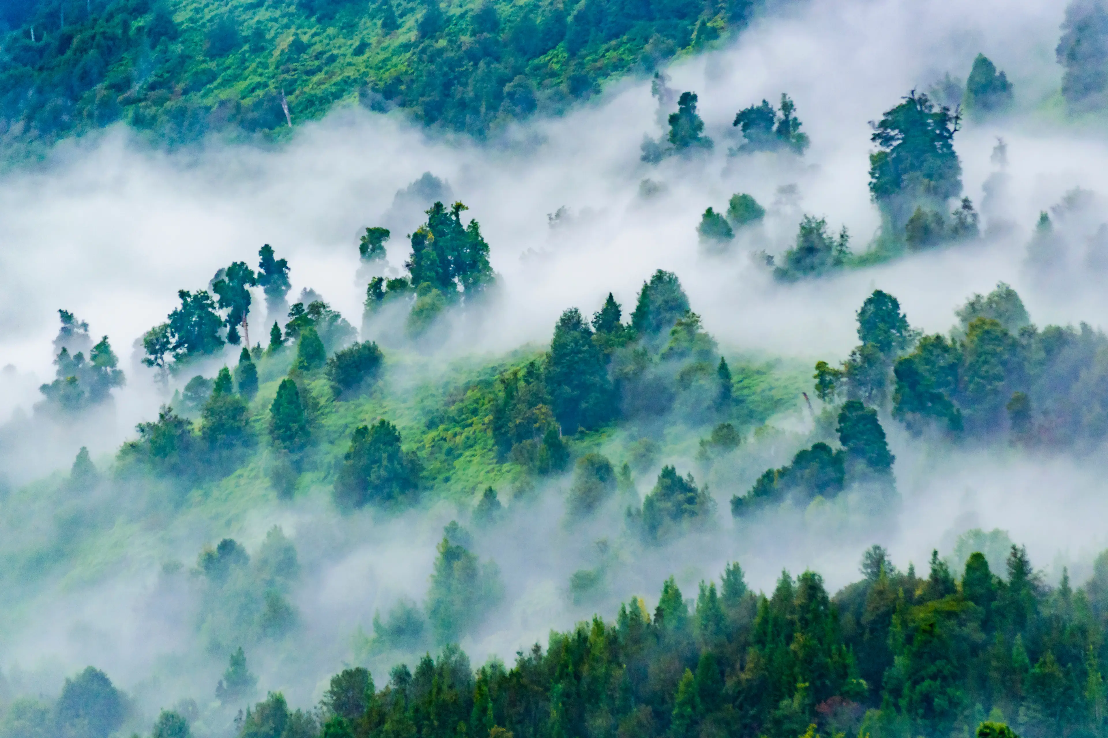Misty slopes of Puyuhuapi