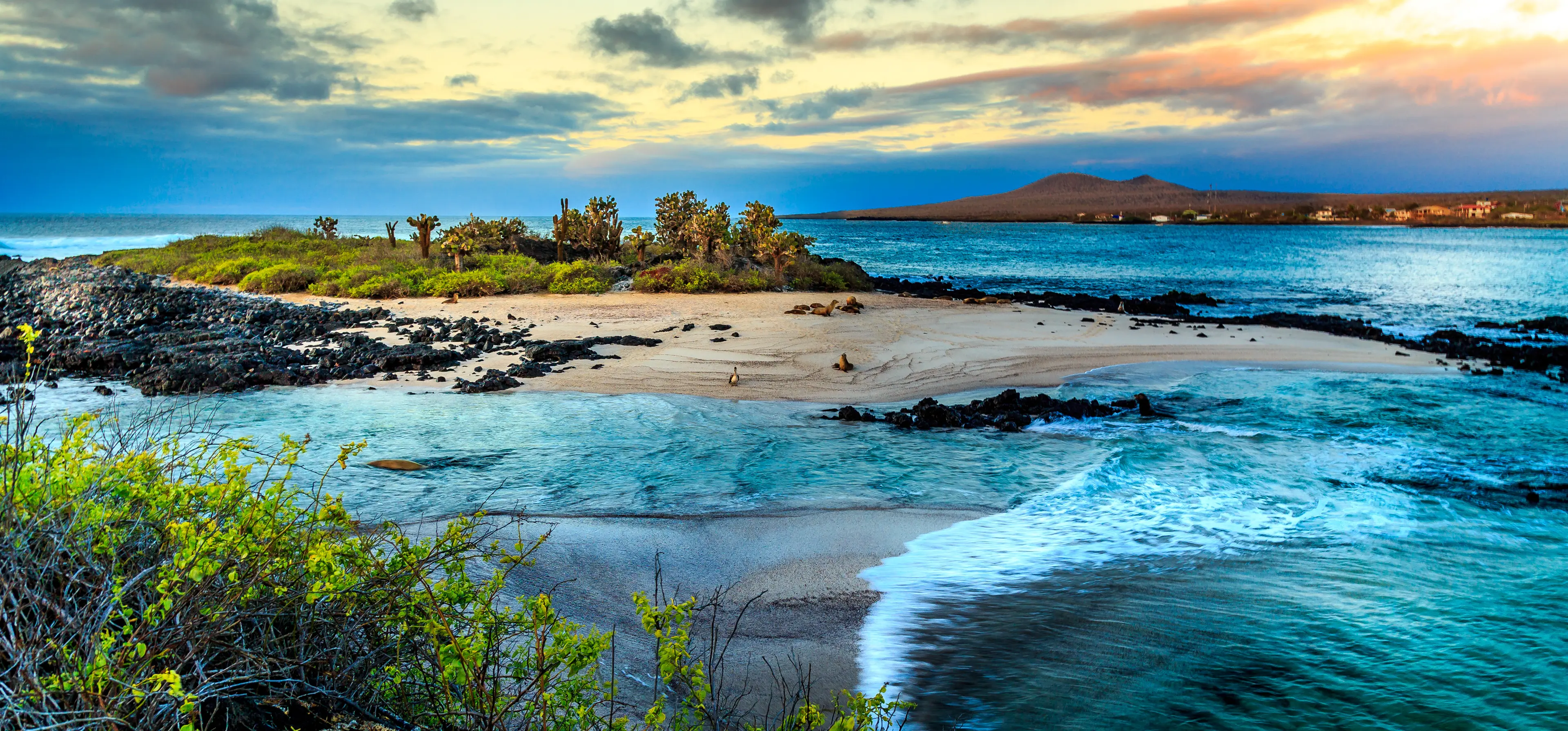 Galapagos Islands Galapagos Islands