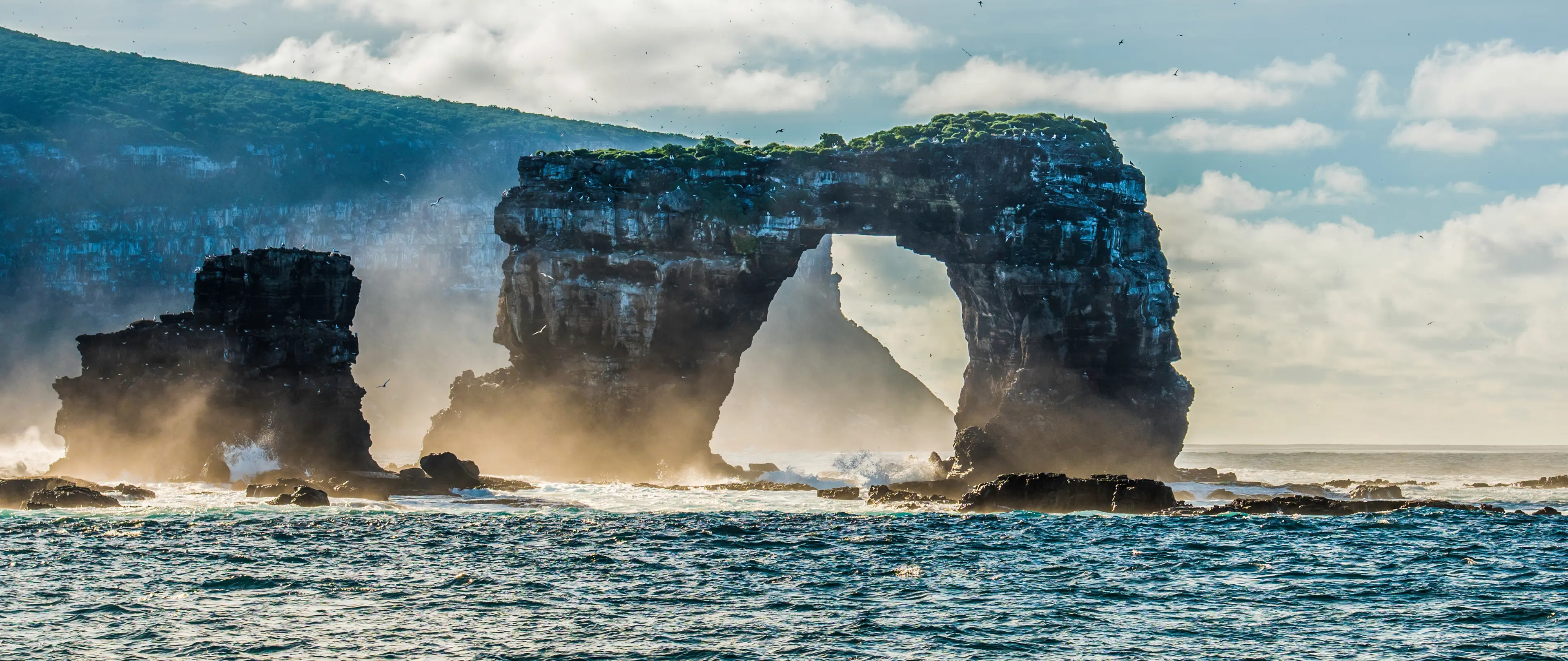 Darwin's Arch Darwin's Arch