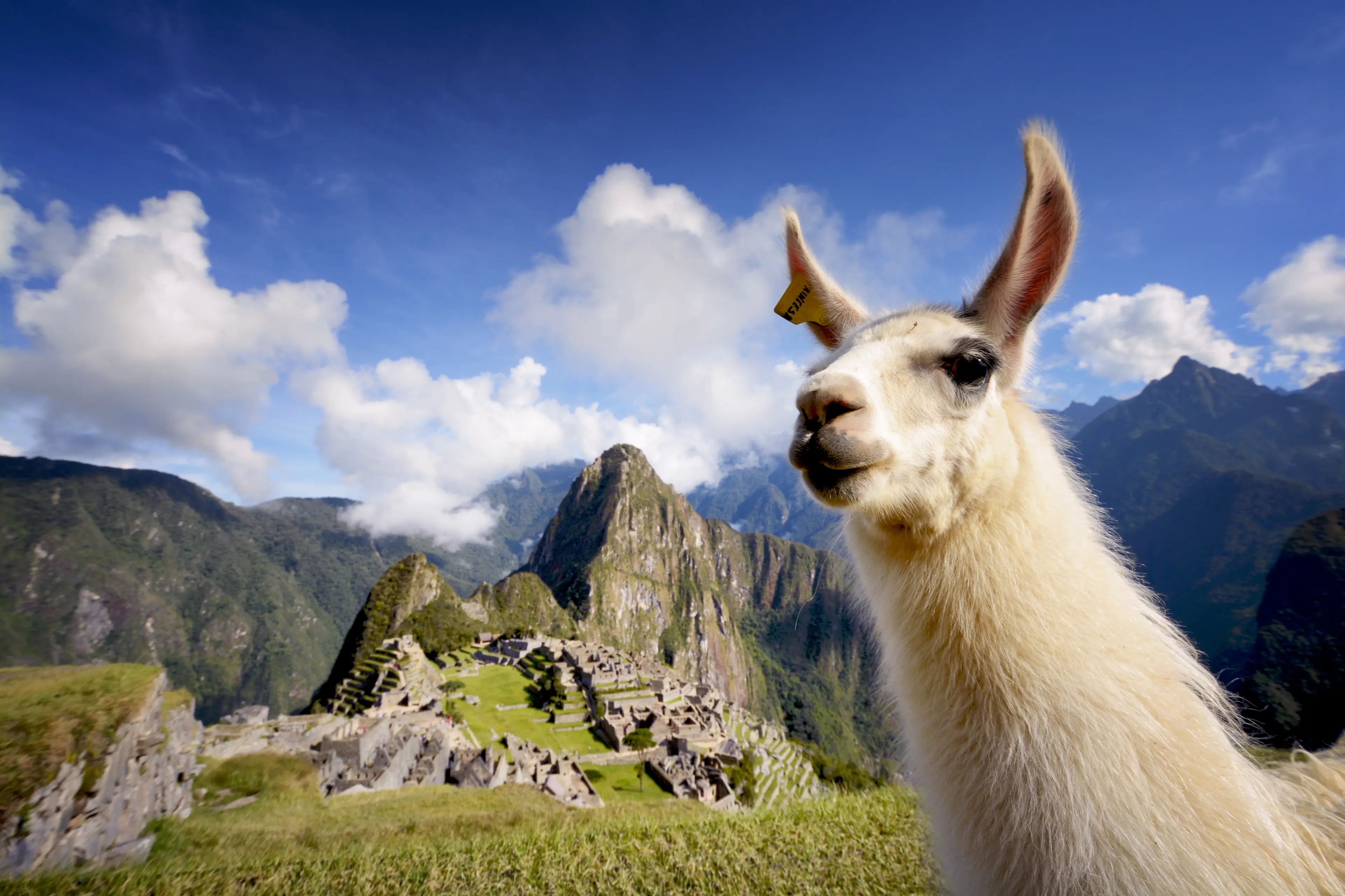 1-Day Local Experience: Machu Picchu Sightseeing & Outdoor Activities
